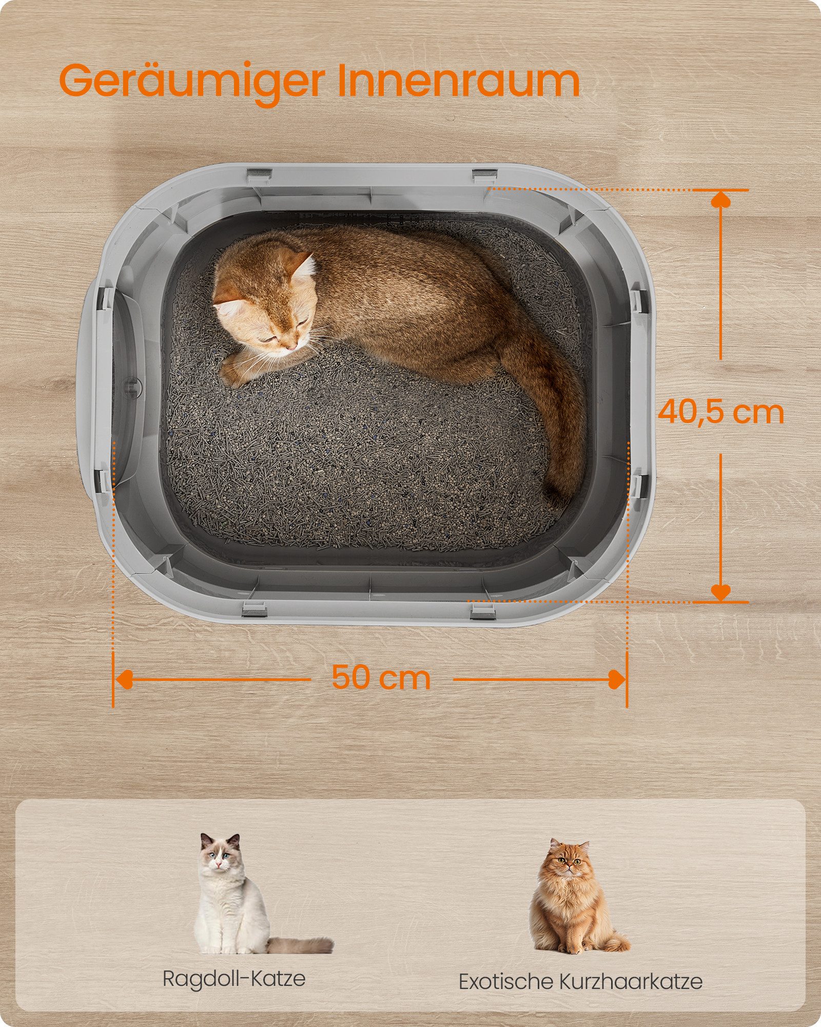 FEANDREA Katzentoilette Katzenklo 1 er / 2er Set, XXL, mit Deckel, ausziehbares Tablett, Schaufel, Bürste