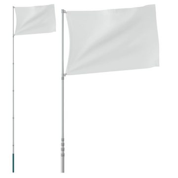 vidaXL Flagge Teleskop-Fahnenmast Silbern 5,55 m Aluminium