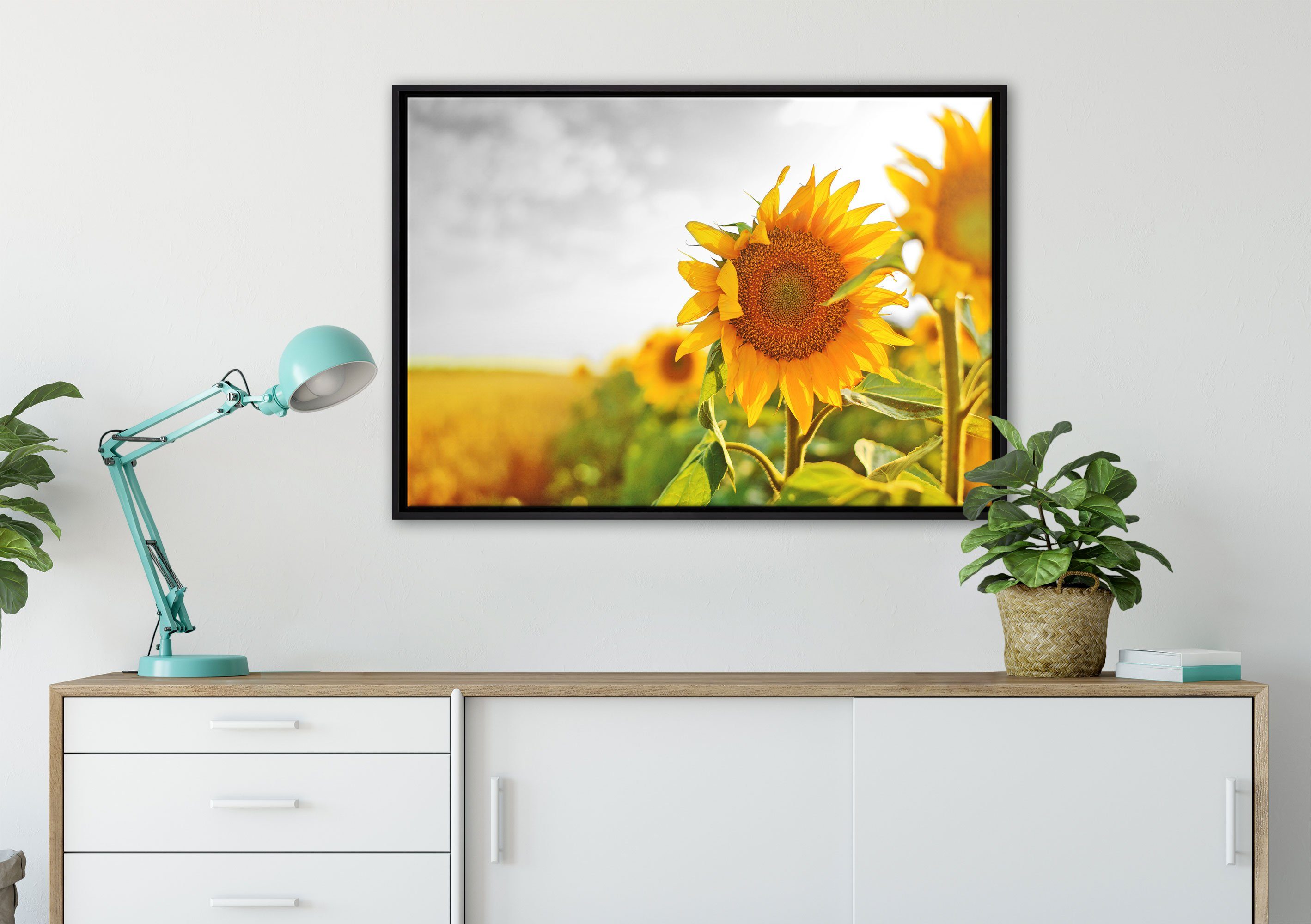 Leinwandbild (1 in Leinwandbild inkl. Wanddekoration Schattenfugen-Bilderrahmen einer bespannt, einem Nahaufnahme gefasst, Zackenaufhänger Pixxprint Sonnenblume, fertig St),