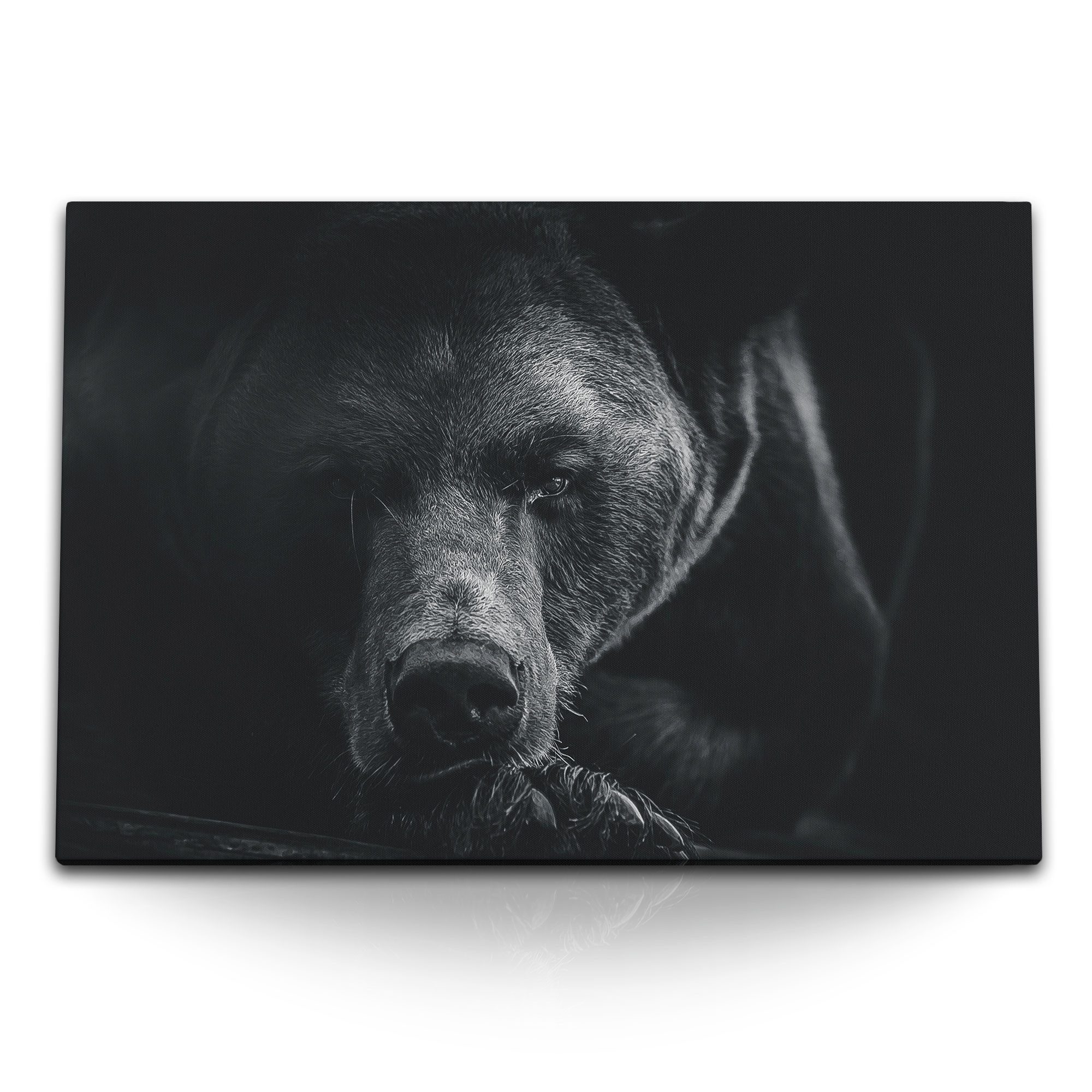 Leinwandbild 120x80cm Wandbild auf Leinwand Bär Braunbär Schwarz Tierfotografie Kun