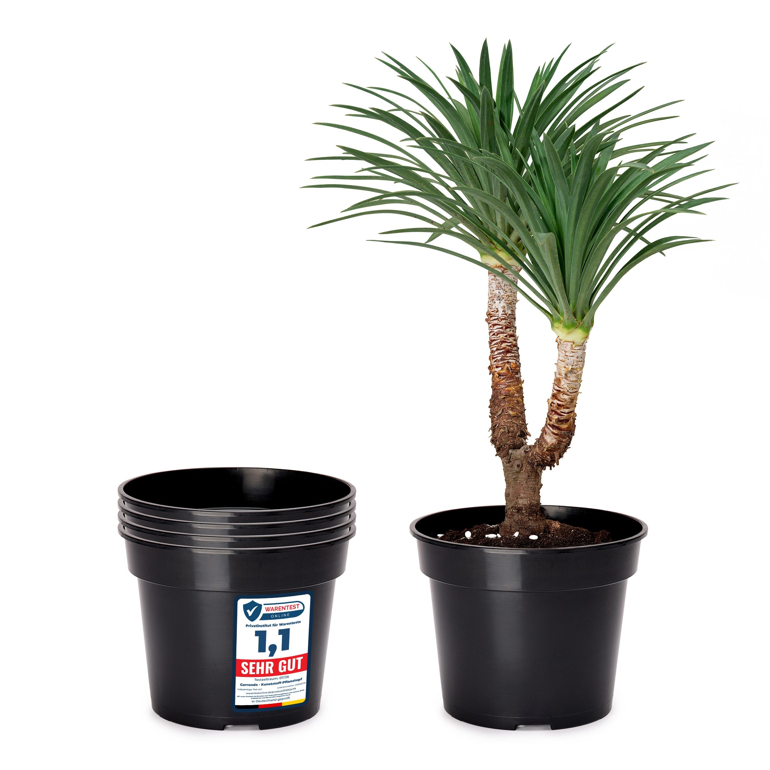 Garronda Blumentopf Kunststoff rund Pflanztopf Kräutertopf Anzuchttopf für Garten GD-0025 (5 St)