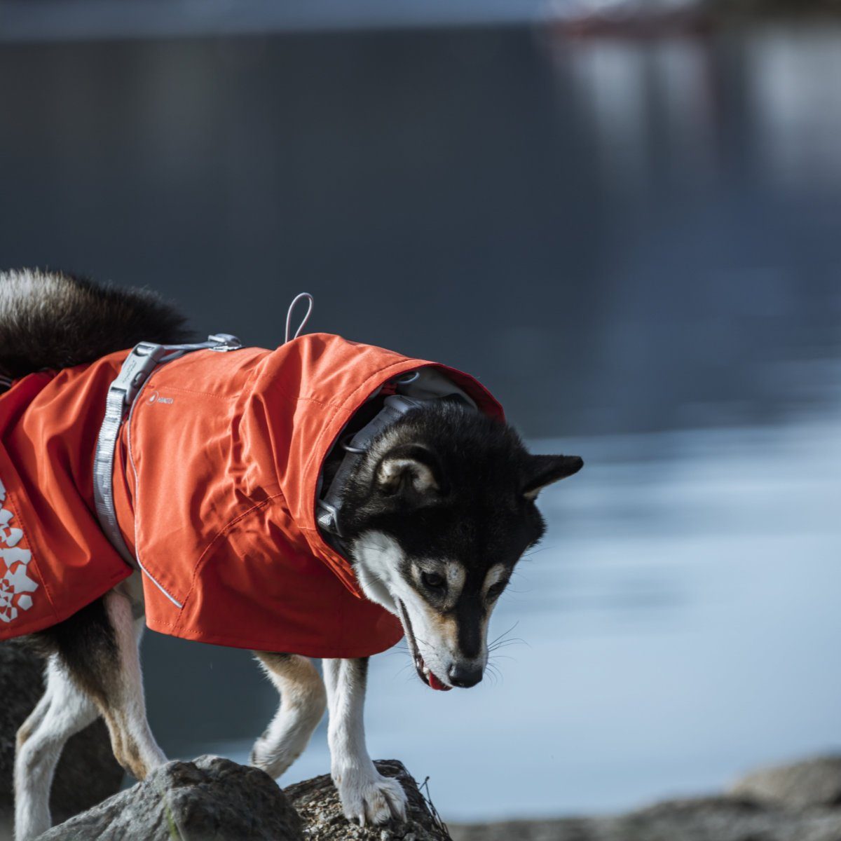 HURTTA Hundemantel Monsoon Regenmantel rosenrot