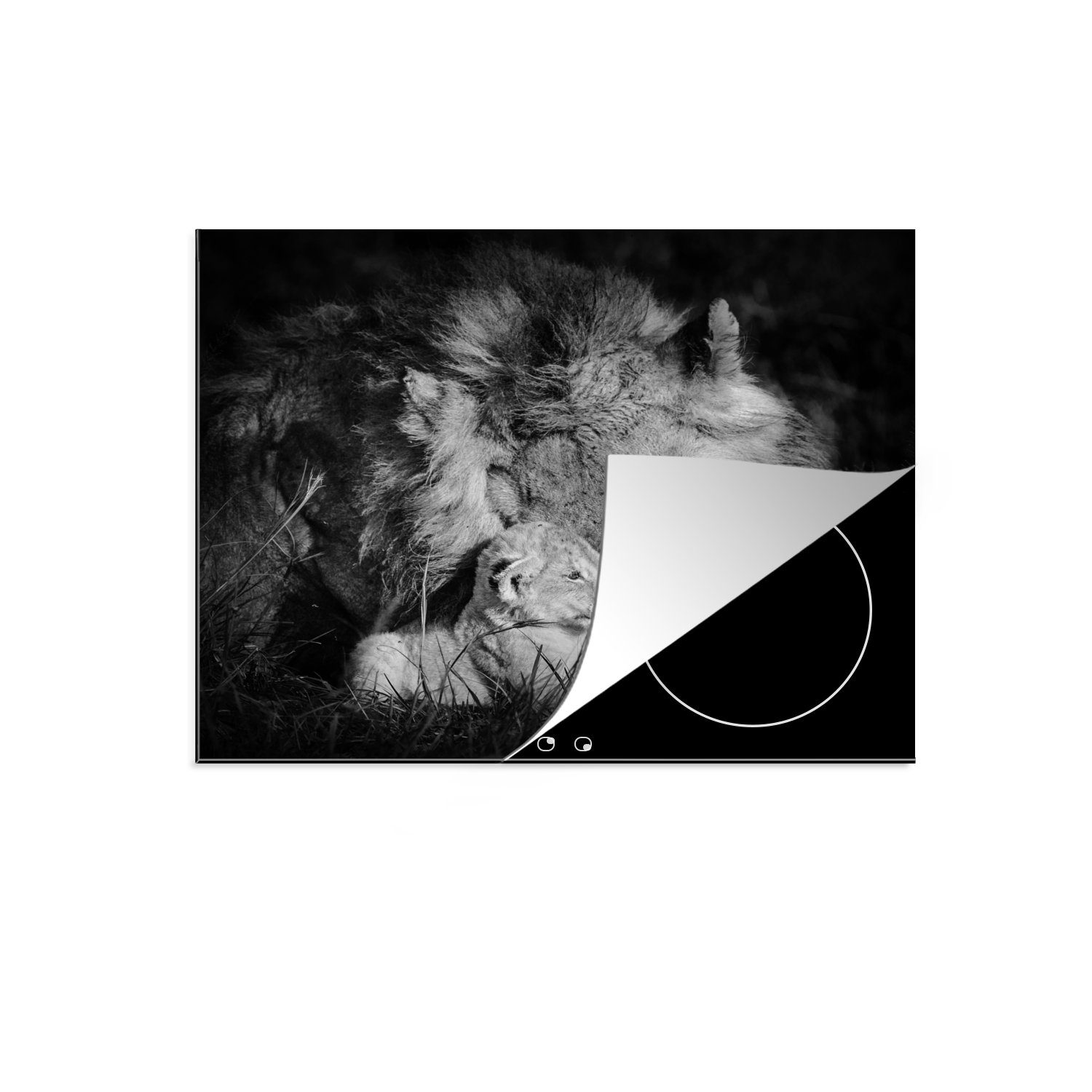 MuchoWow Herdblende-/Abdeckplatte Tierprofil Löwe mit Jungtier in schwarz und weiß, Vinyl, (1 tlg), 60x52 cm, Mobile Arbeitsfläche nutzbar, Ceranfeldabdeckung