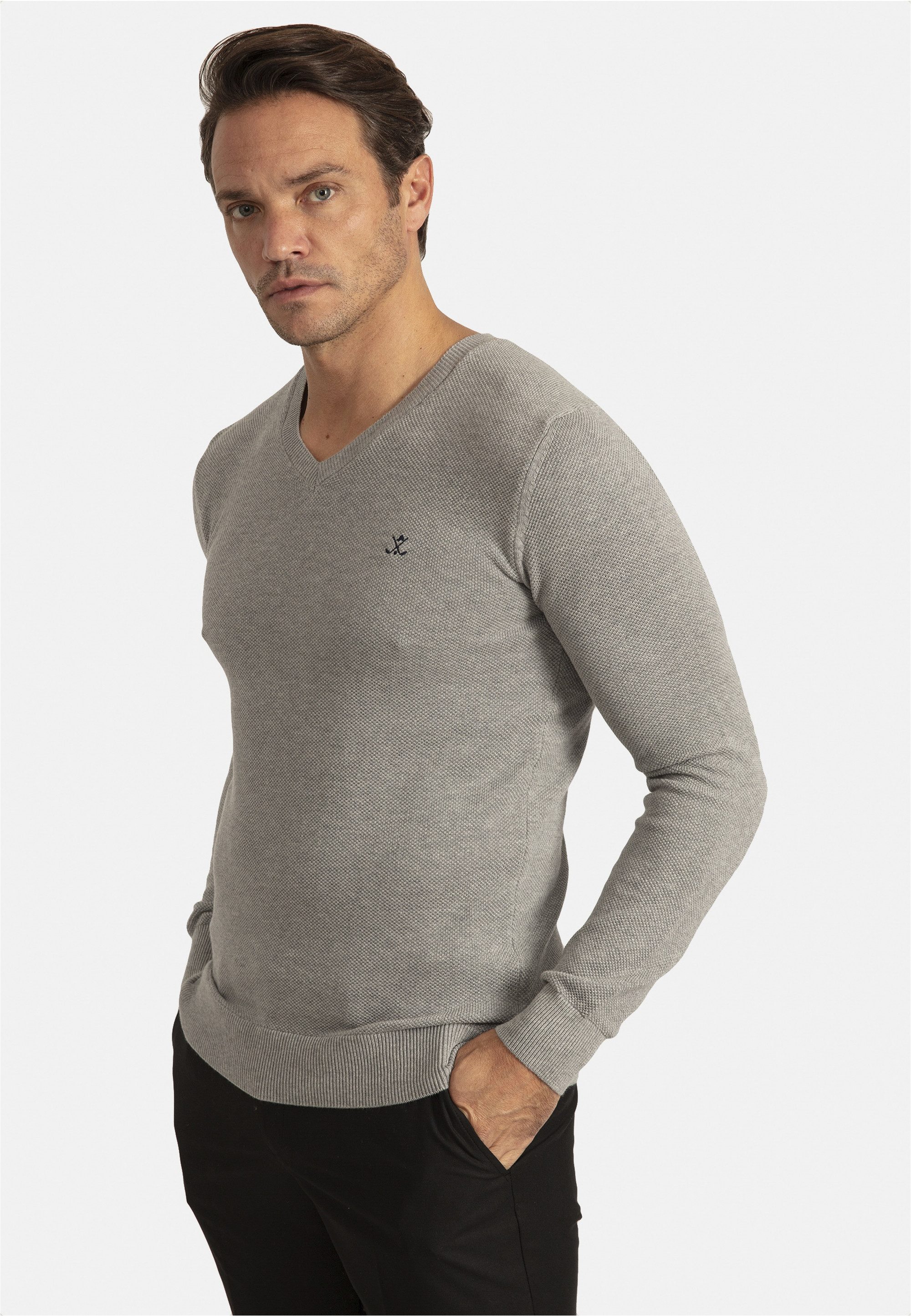 SIR RAYMOND TAILOR V-Ausschnitt-Pullover Liva mit elegantem V-Ausschnitt