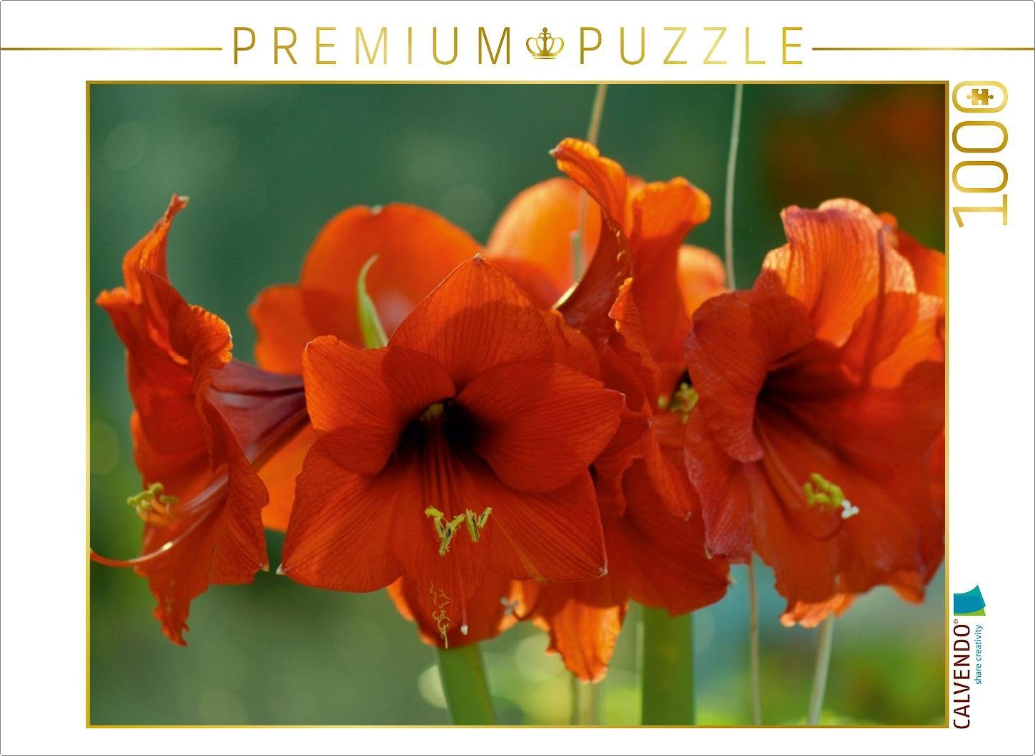 Puzzle CALVENDO Puzzle Amaryllis 1000 Teile Lege-Größe 64 x 48 cm Foto-Puzzle Bild von Gabriele Masalowicz