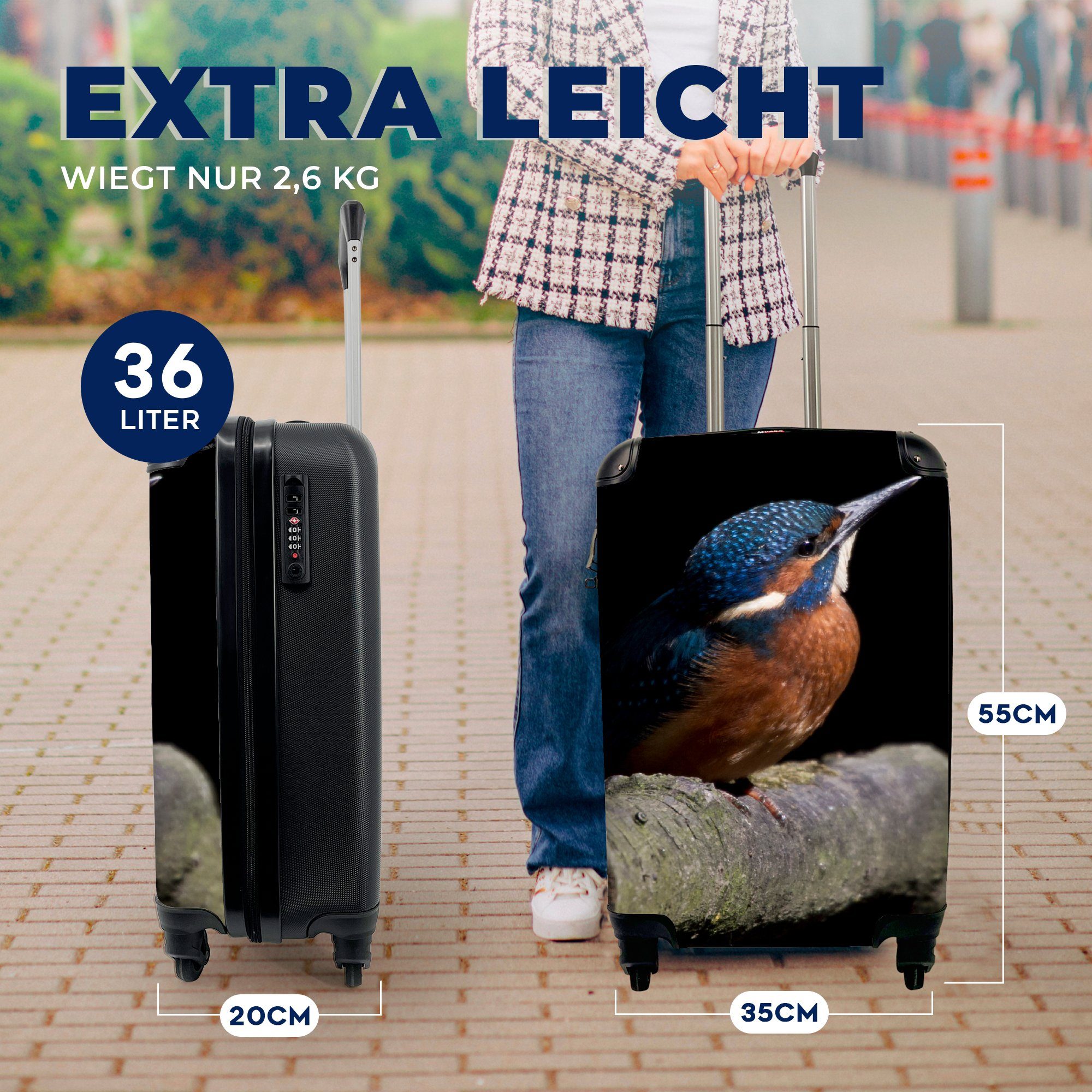 für Handgepäckkoffer Schwarz, - Eisvogel - Federn MuchoWow Handgepäck Reisetasche Zweig rollen, Ferien, - Reisekoffer Rollen, mit 4 Trolley,