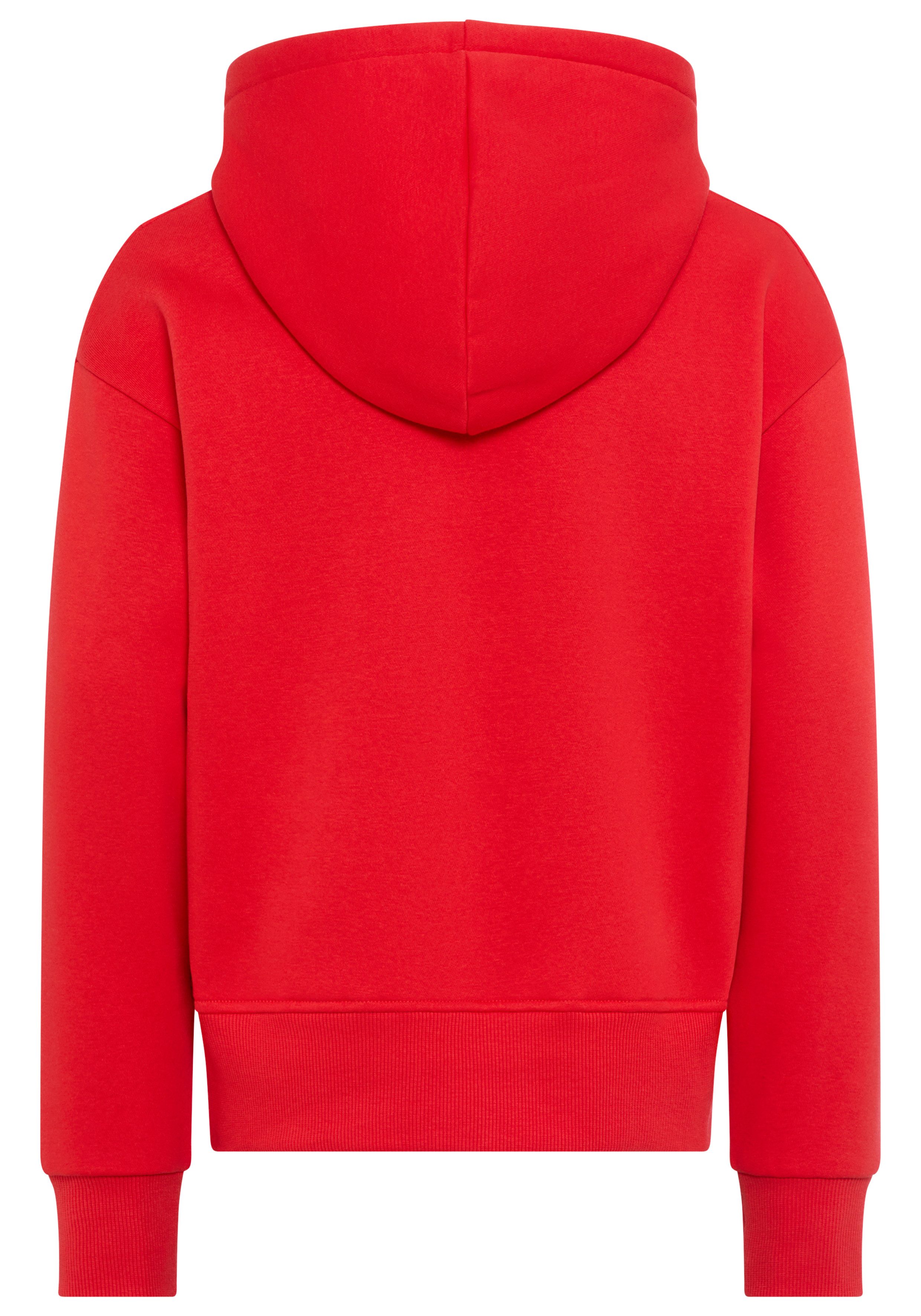 Levi's® Kids Kapuzensweatshirt LVG BATWING PATCH HOODIE mit Daumenloch