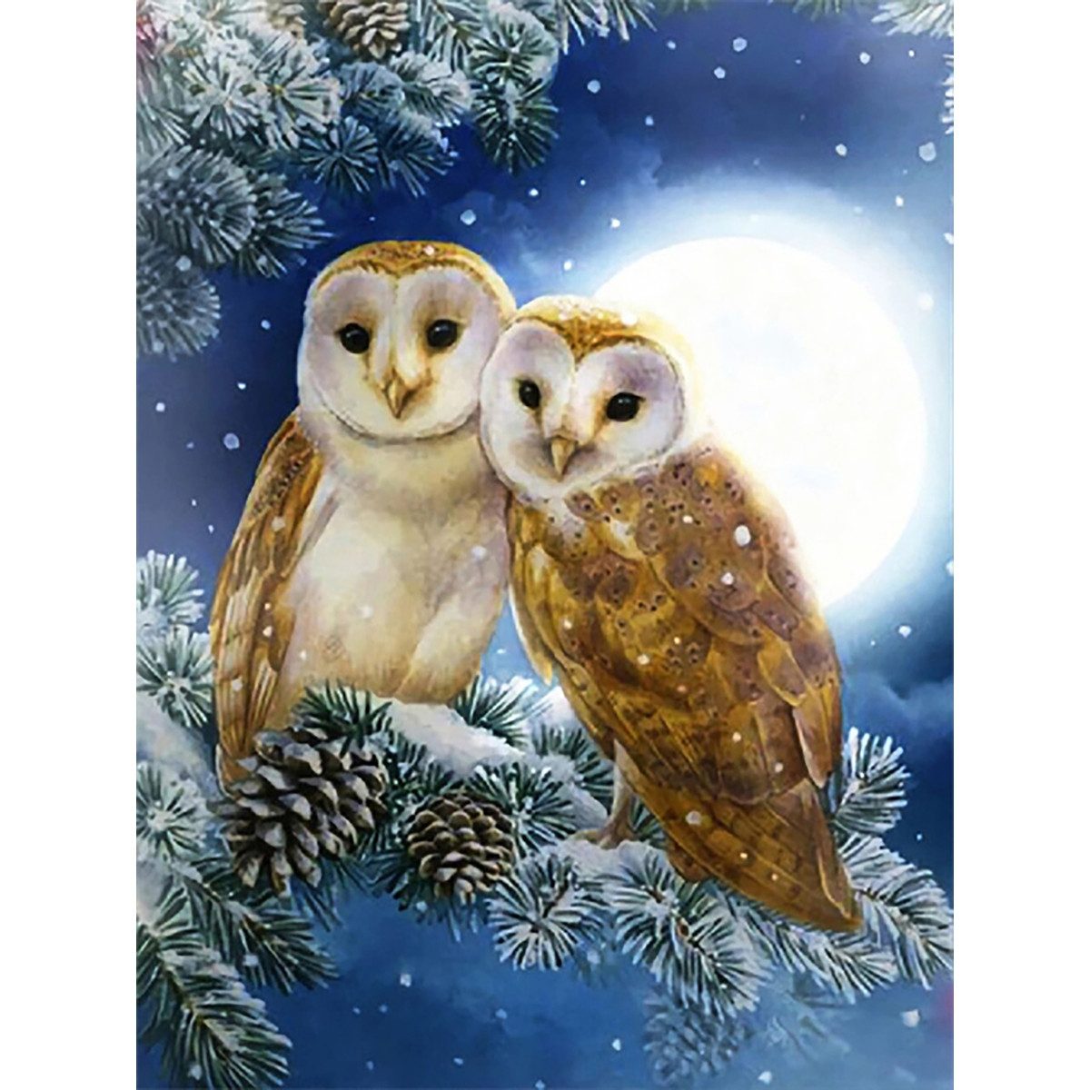 Pracht Malvorlage PRACHT Diamond Painting Eulen 50x40cm