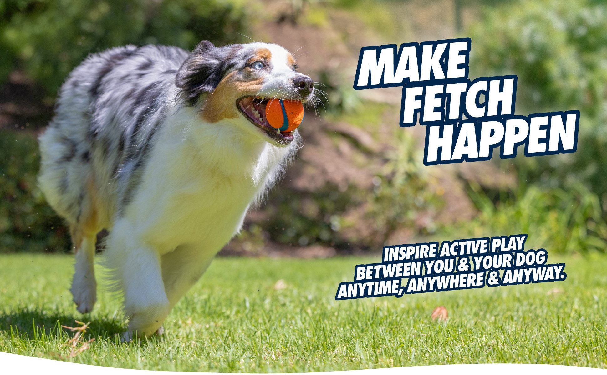 Chuckit Tierquietschie Chuckit Fetch Ball M (1 Stück)