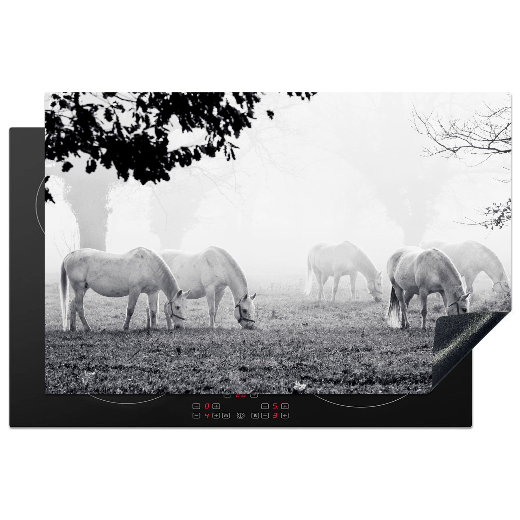 MuchoWow Herdblende-/Abdeckplatte Pferde - Lipizzaner - Schwarz - Weiß, Vinyl, (1 tlg), 81x52 cm, Induktionskochfeld Schutz für die küche, Ceranfeldabdeckung