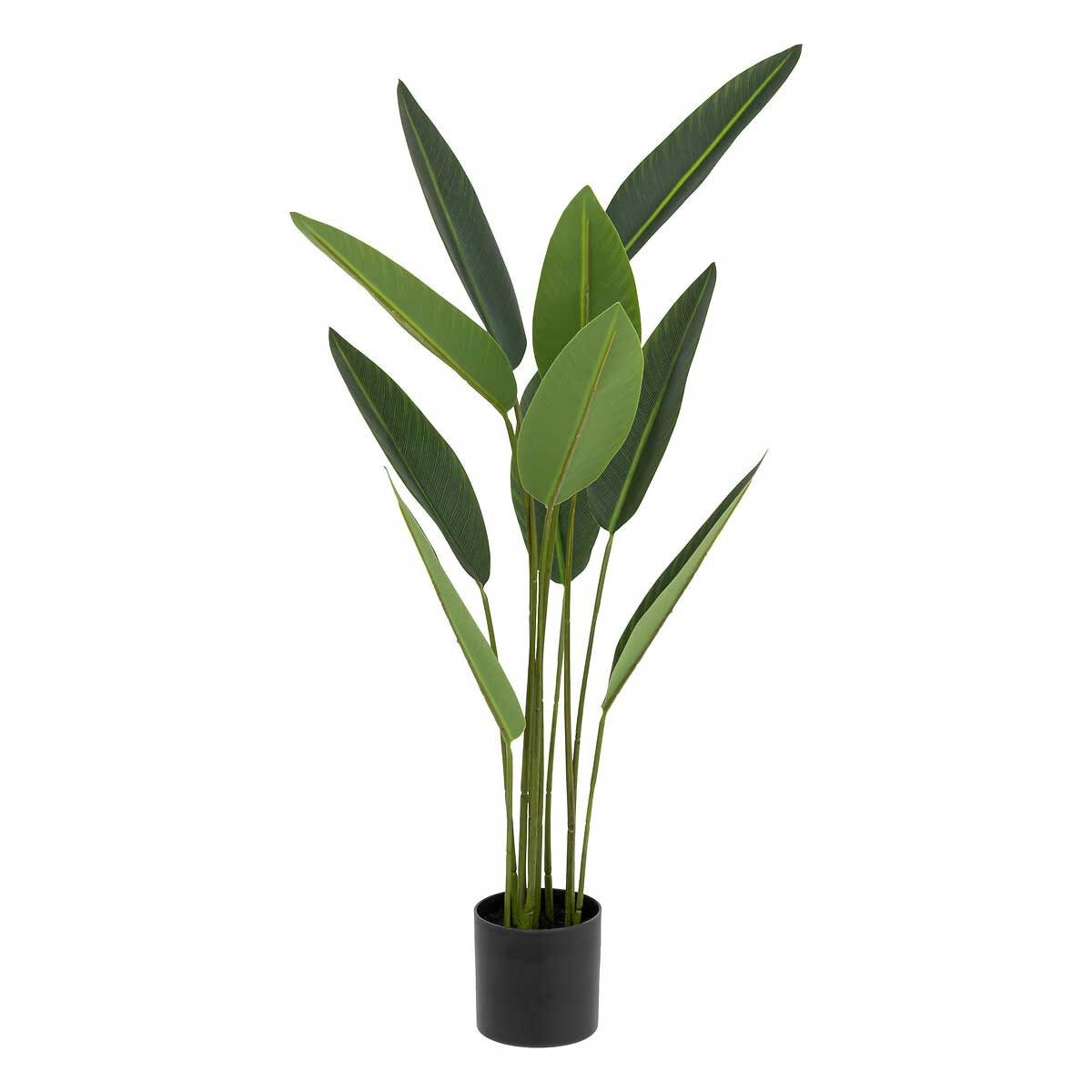 Kunstpflanze Zimmerpflanze, Atmosphera Créateur d'intérieur, Höhe günstig online kaufen