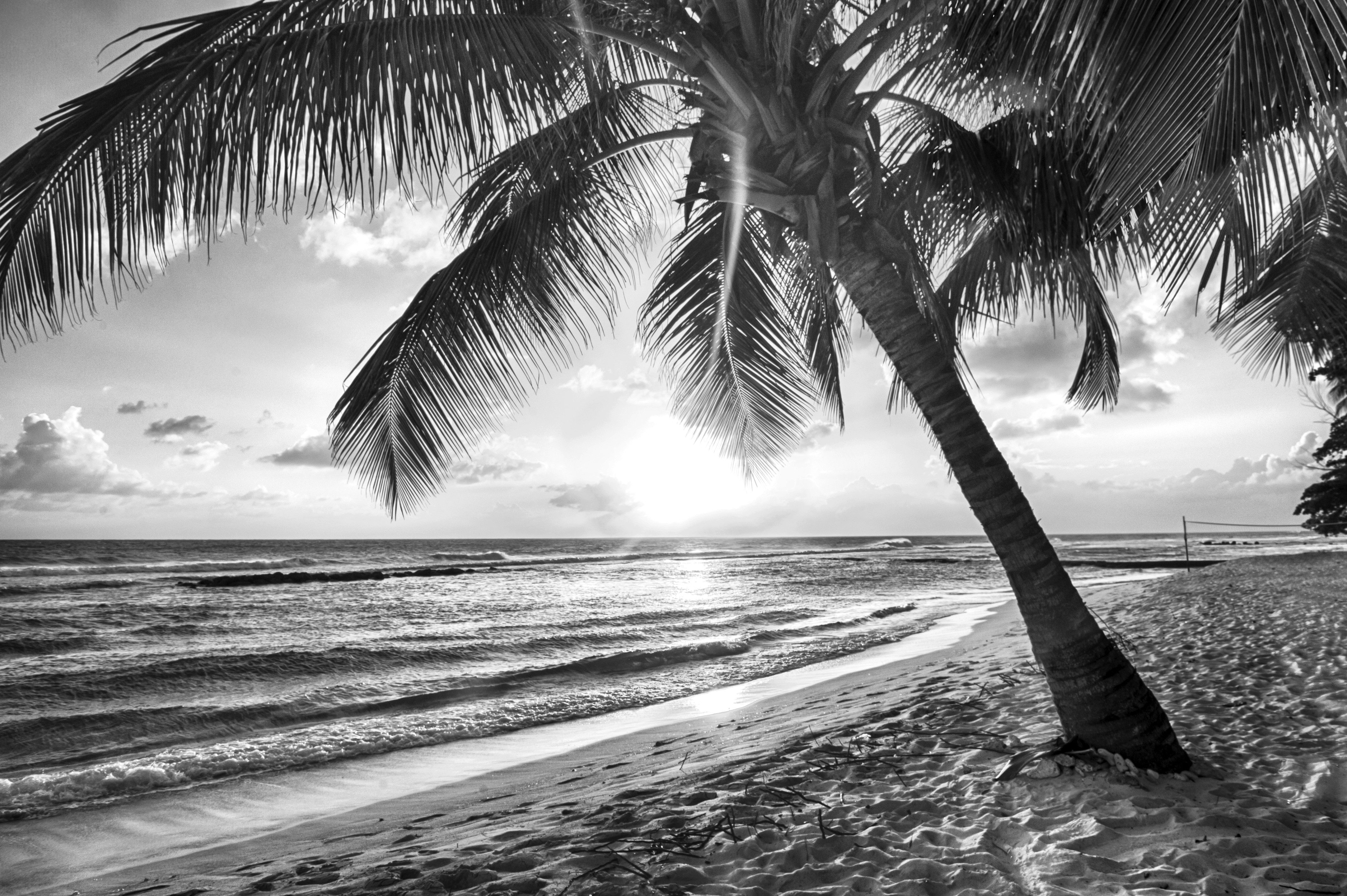 Papermoon Fototapete VLIES-Tapete Premium "Strand Schwarz günstig online kaufen