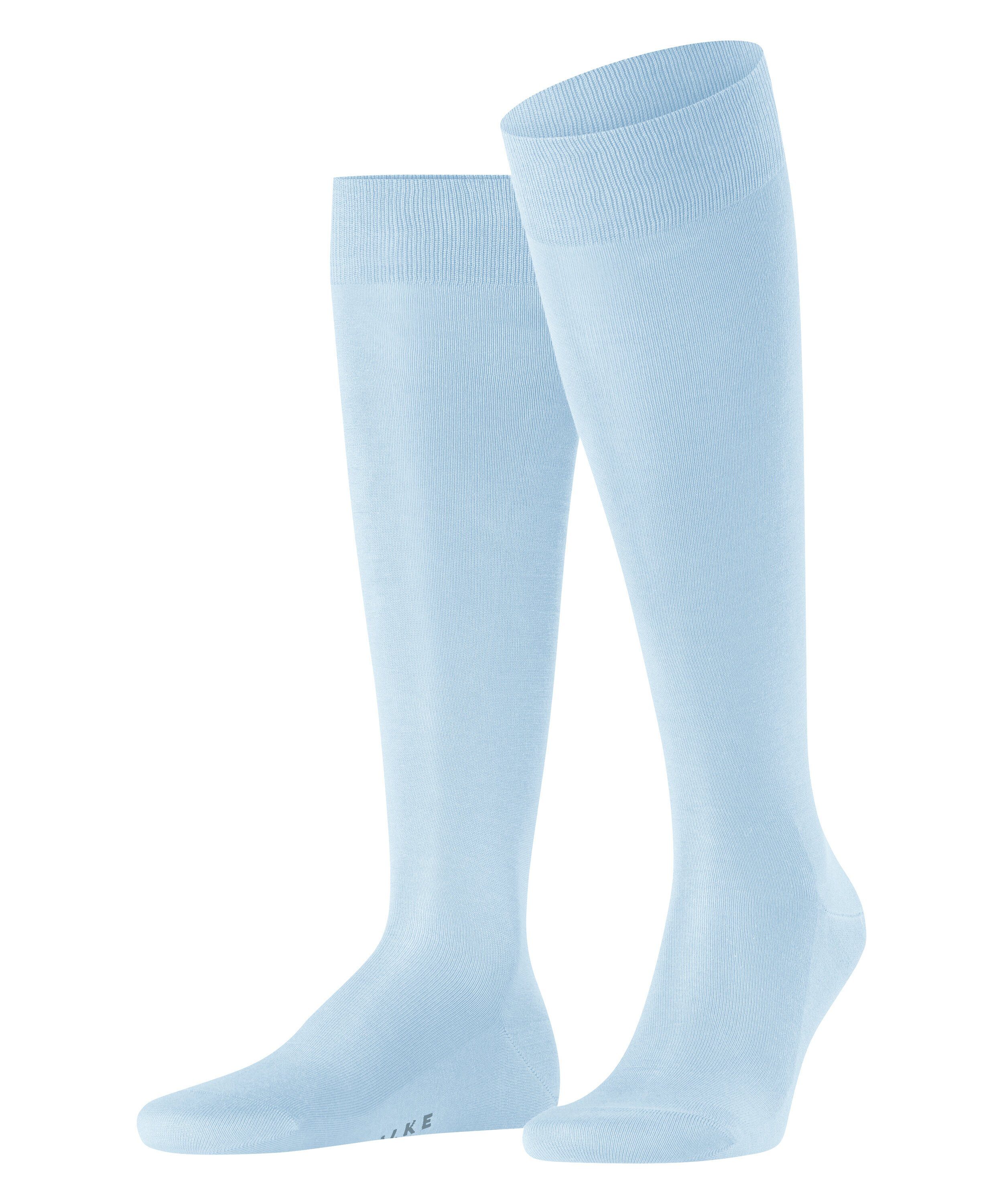 bluebell (6244)