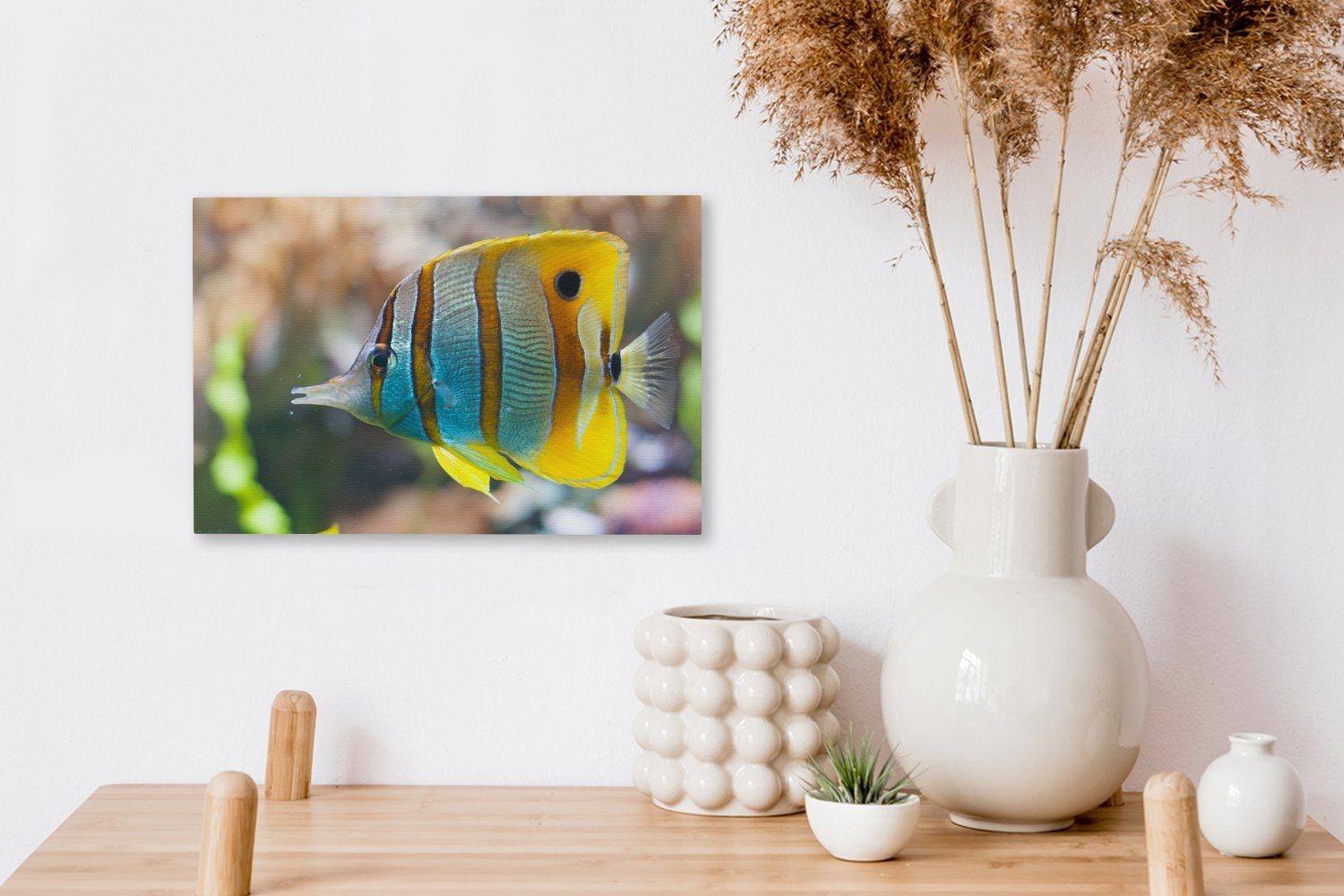 Aufhängefertig, Wanddeko, - St), Wasser Fisch Leinwandbilder, Wandbild - 30x20 OneMillionCanvasses® Makro, cm Leinwandbild (1