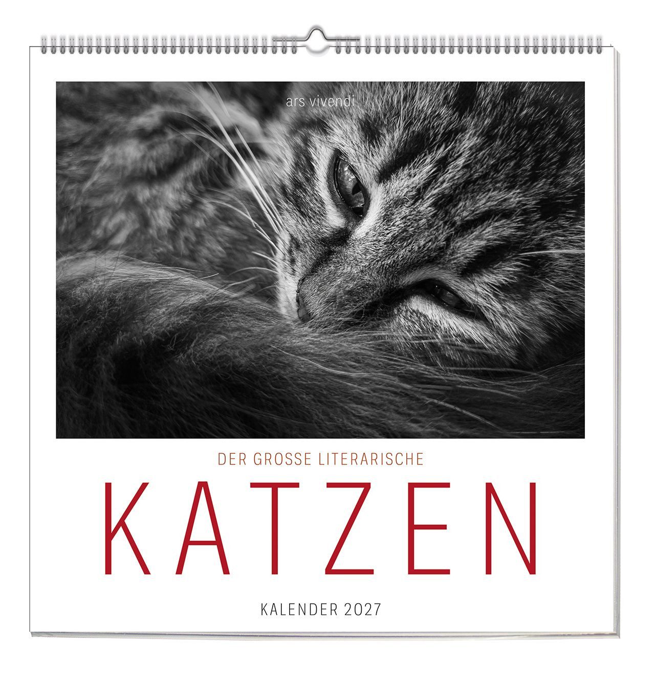 ars vivendi Wandkalender Der grosse literarische Katzen Kalender 2027