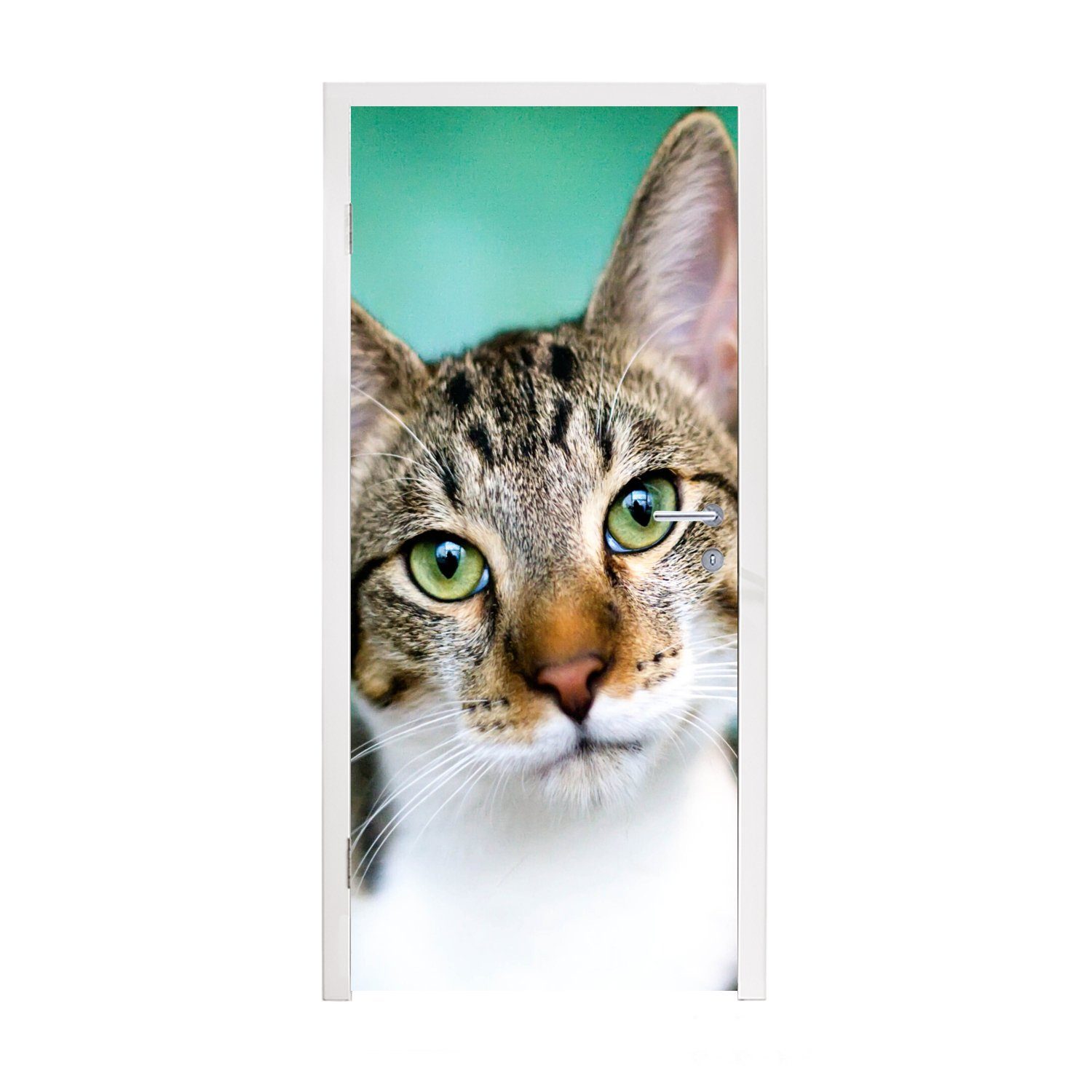 MuchoWow Türtapete Katze St), Matt, (1 75x205 bedruckt, - Porträt - Augen, cm für Tür, Fototapete Türaufkleber