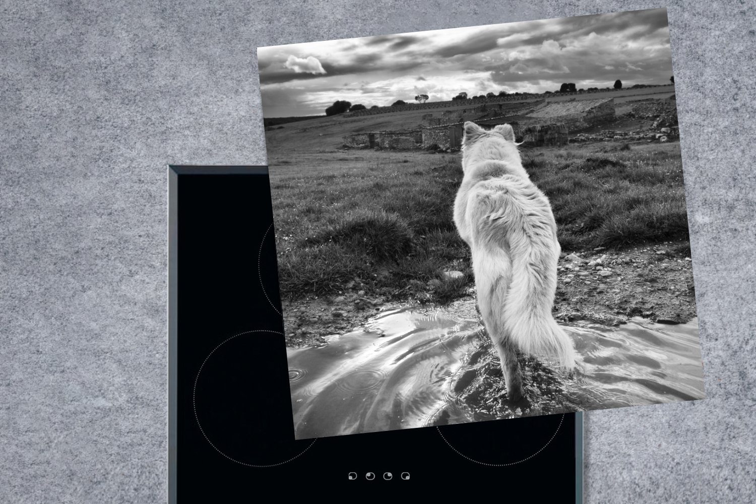 MuchoWow Herdblende-/Abdeckplatte Wolf Landschaft Vinyl, Blick Schwarz Arbeitsplatte küche cm, tlg), die mit und 78x78 Ceranfeldabdeckung, auf Weiß, für (1 in