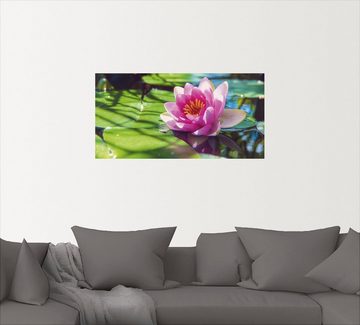 Artland Wandbild Seerose Nahaufnahme, Blumenbilder (1 St), als Alubild, Outdoorbild, Leinwandbild, Wandaufkleber, versch. Größen