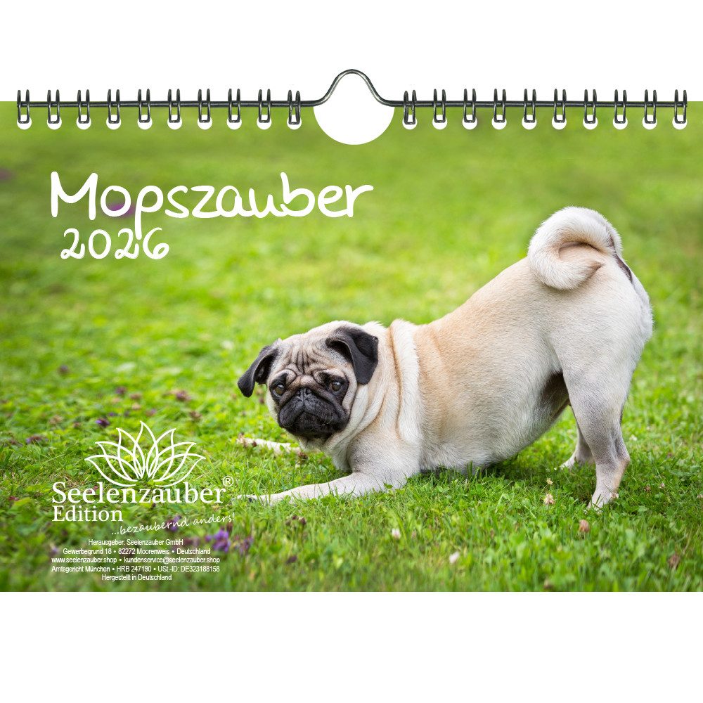 Seelenzauber Wandkalender Mopszauber DIN A5 Kalender für 2026 Mops Hunde und Welpen