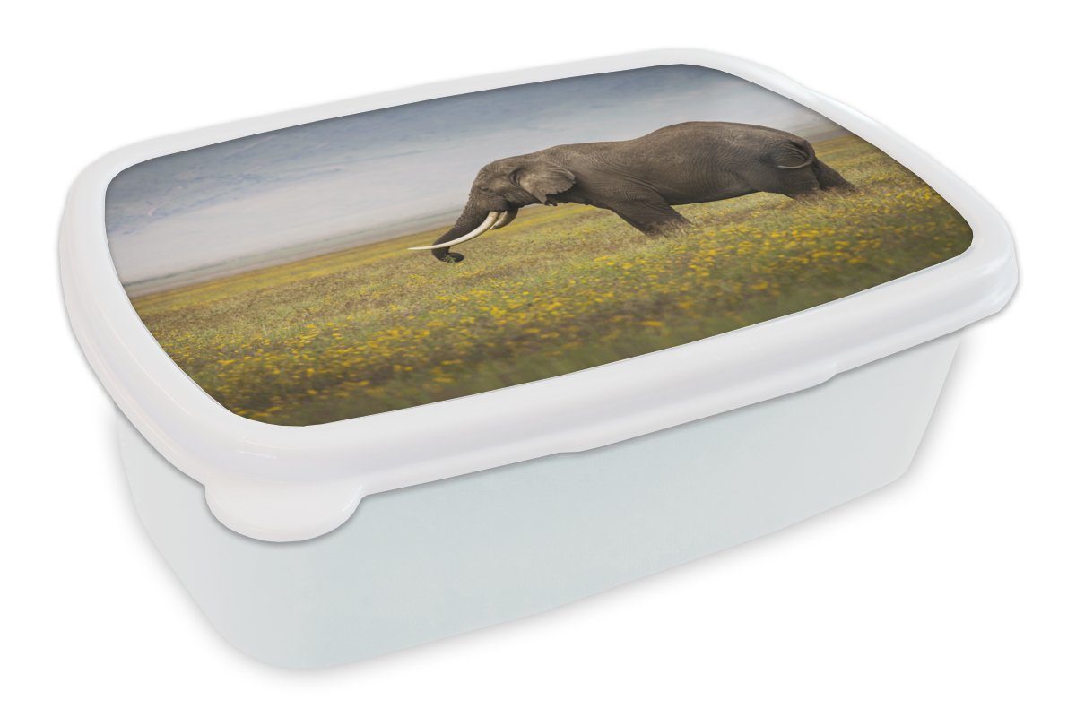 MuchoWow Lunchbox Elefant - Tiere - Blumen - Gras - Natur, Kunststoff, (2-tlg), Brotbox für Kinder und Erwachsene, Brotdose, für Jungs und Mädchen weiß