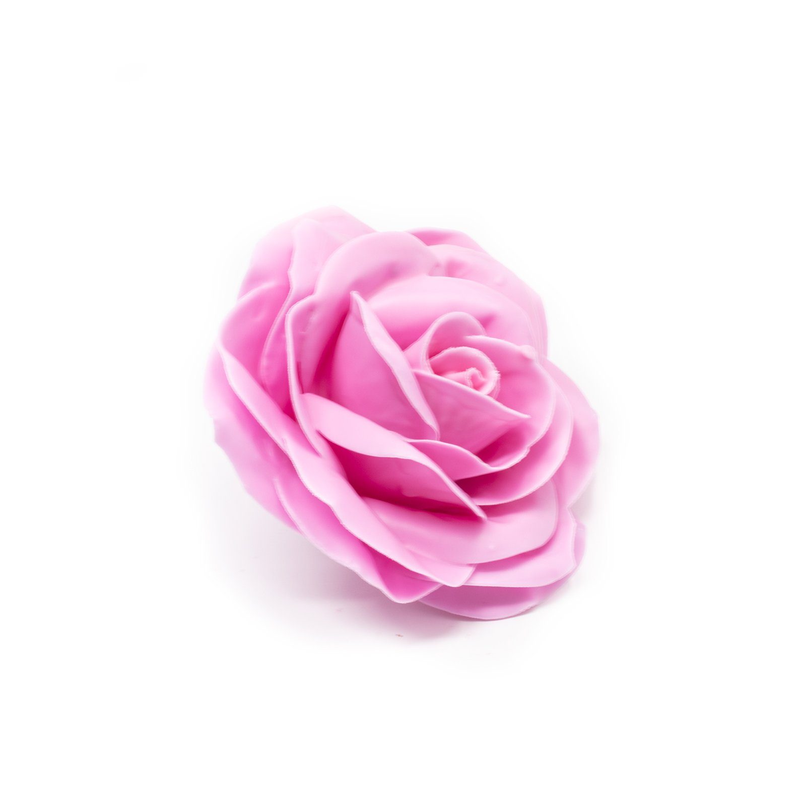 Trockenblume 10er-Set Wachsrose - Pink, Primera, Höhe 20 cm