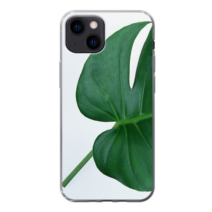 MuchoWow Handyhülle Botanische Lochpflanze auf einem hellgrauen Hintergrund Handyhülle Apple iPhone 13 Mini Smartphone-Bumper Print Handy