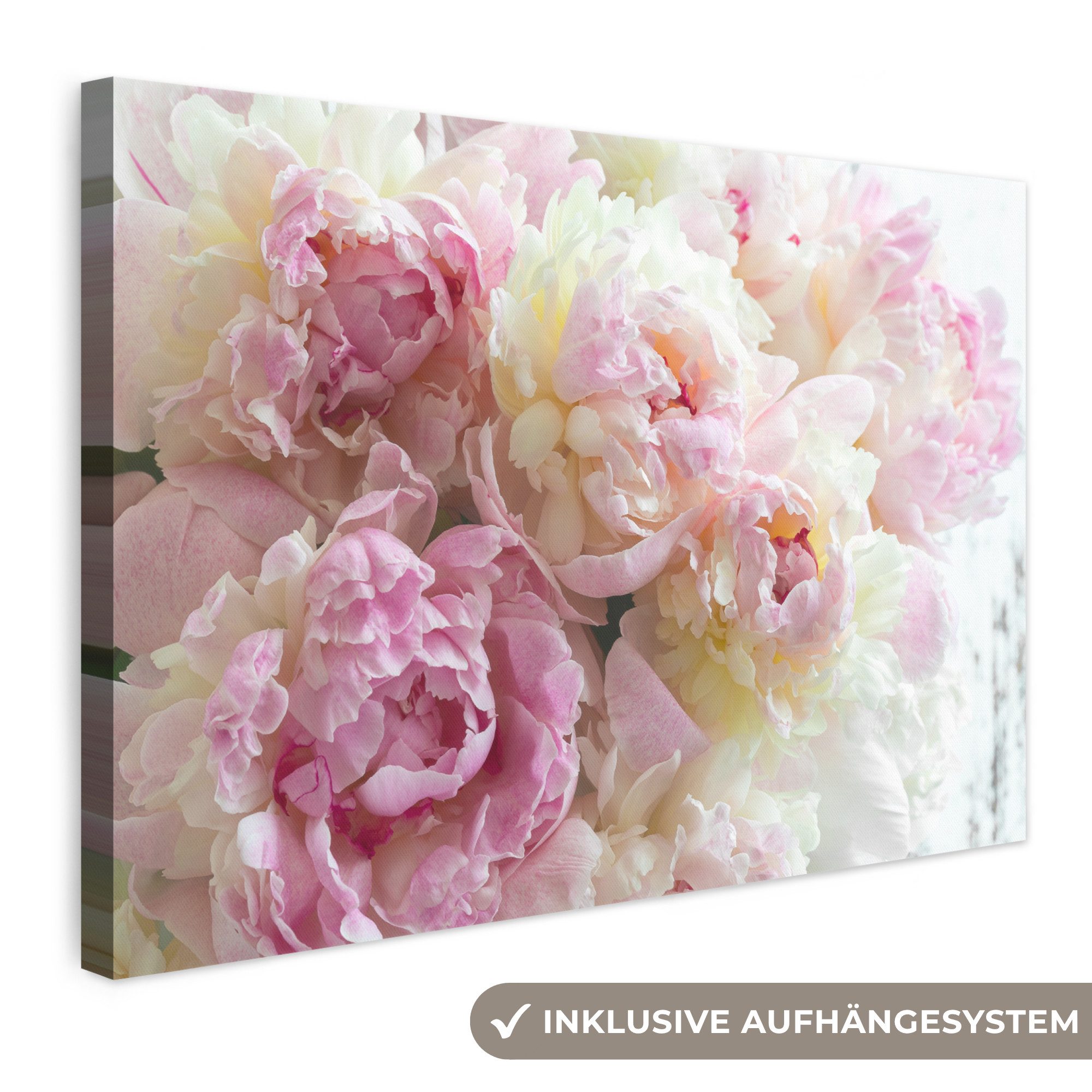OneMillionCanvasses® Leinwandbild Vintage - Blumen - Rosen - Natur, Fotodruck (1 St), Leinwand Bilder Klein, Wand Dekoration Aesthetic 30x20 cm