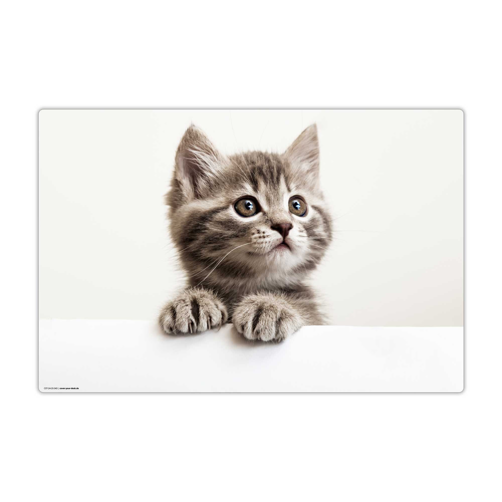 cover-your-desk.de Schreibtischunterlage abwaschbar - Baby Kätzchen / Katze - premium Vinyl - Made in Germany, (1 tlg)
