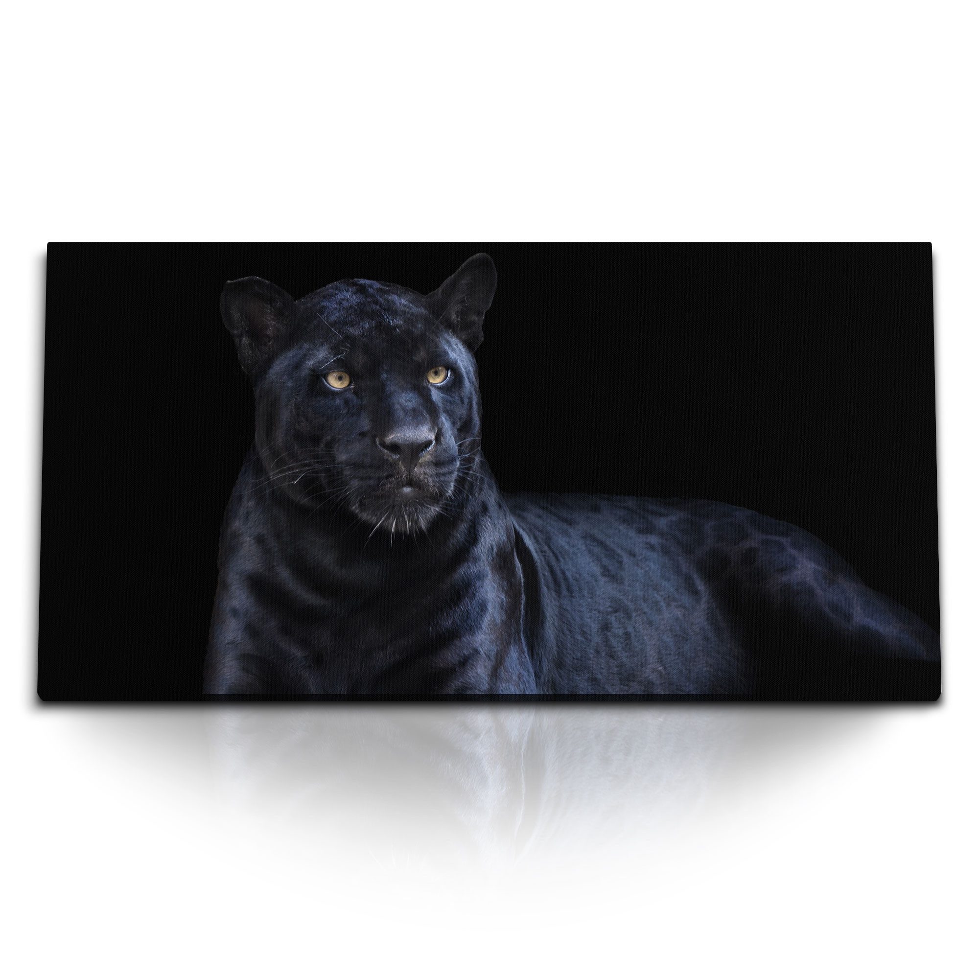 Leinwandbild Kunstdruck Bilder 120x60cm Schwarzer Panther Jaguar Tierfotografie Rau