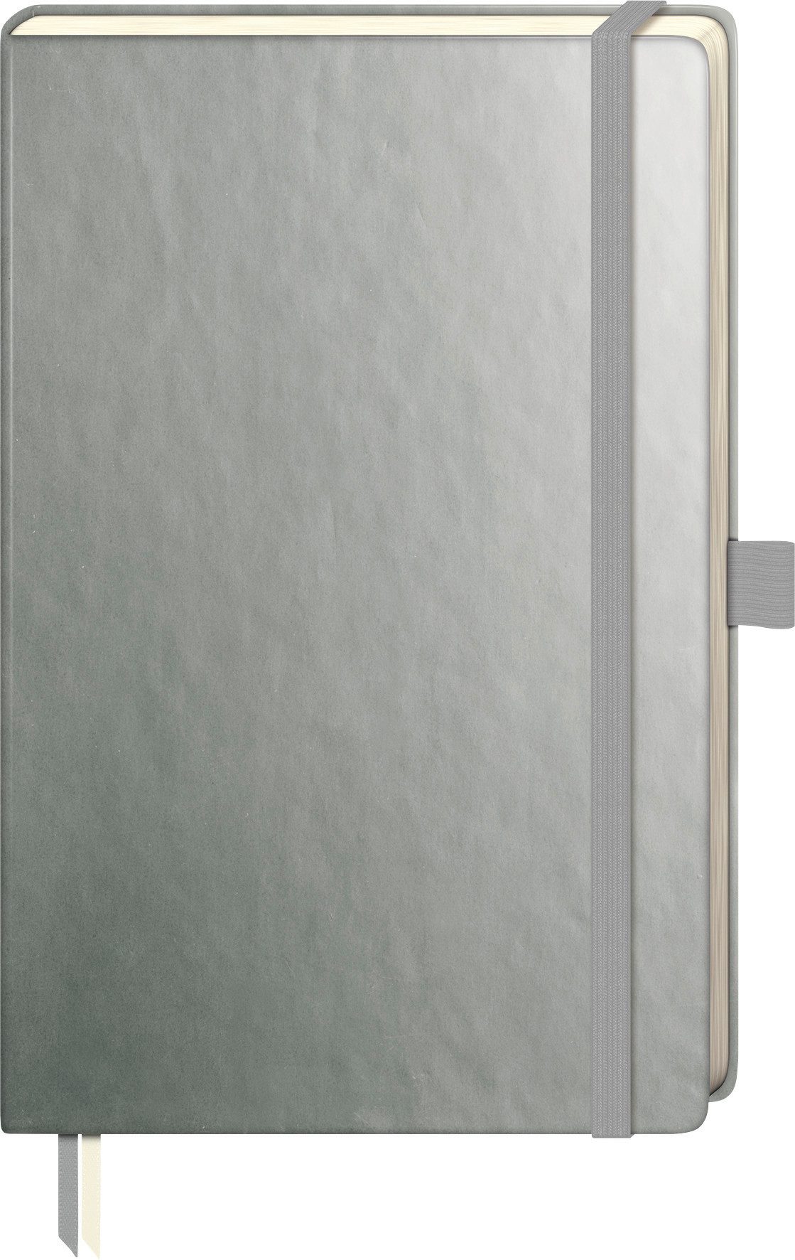 BRUNNEN Notizbuch BRUNNEN 105554892 Notizbuch Kompagnon Metallic 12,5 x19,5 cm dotted