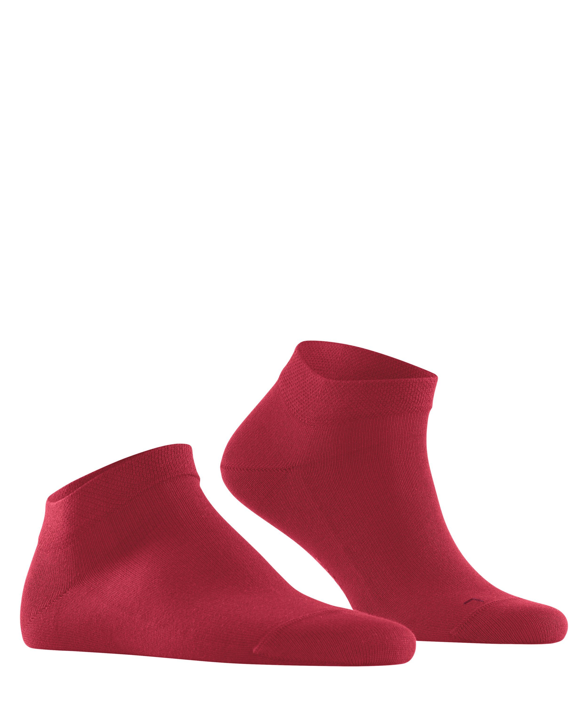 (1-Paar) Sneakersocken geeignet Diabetiker (8228) London für scarlet Sensitive FALKE