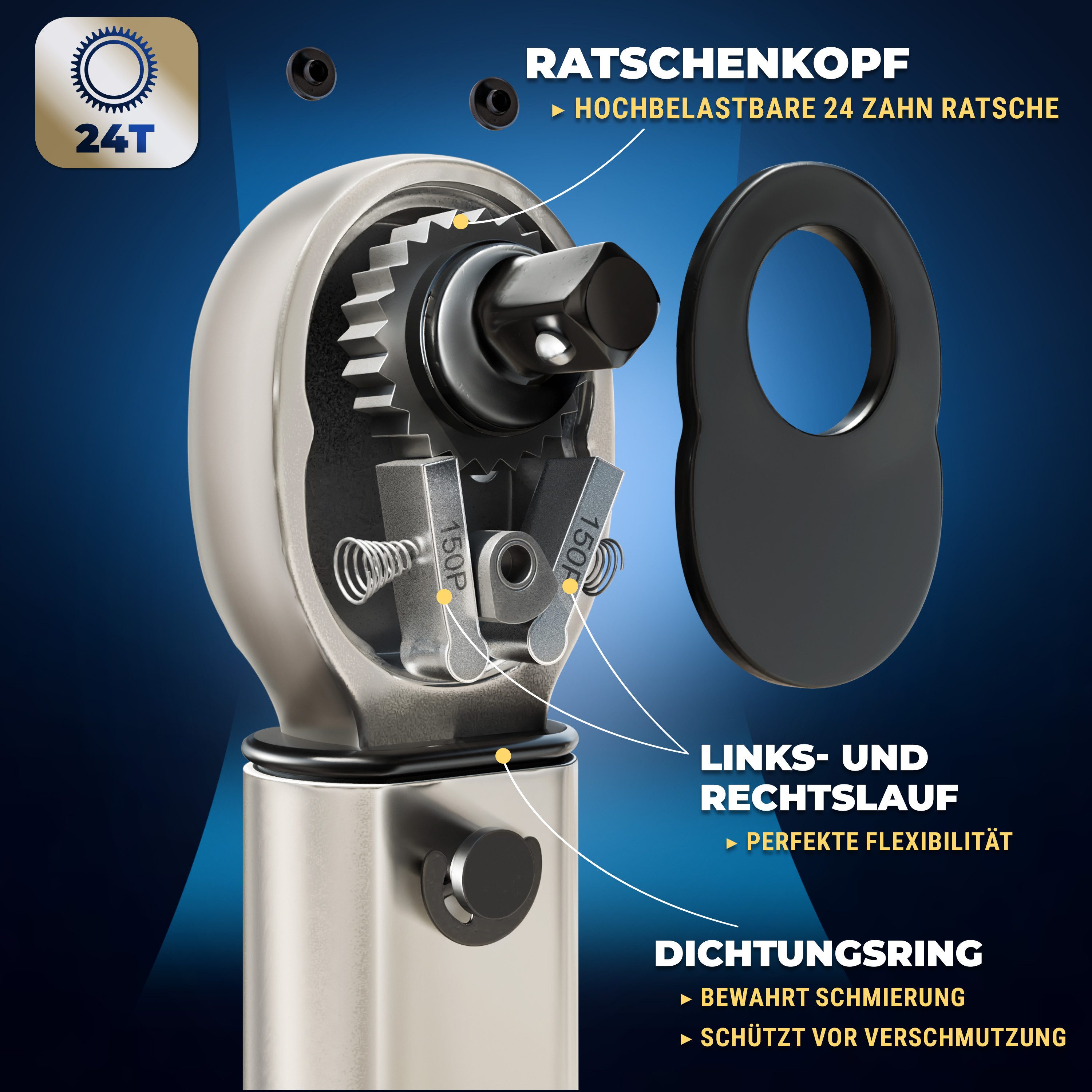 S&R Drehmomentschlüssel Set 1/4", 272 mm, 5 - 25 Nm mit 7 Bits, aus CrV-Stahl, bruchfest (Set, 8 St., inkl. 7 Bits: H10, H8, H6, H5, H4, H3, T25), Umschaltbarer Ratsche, besonders geeignet für Fahrräder und Motorräder