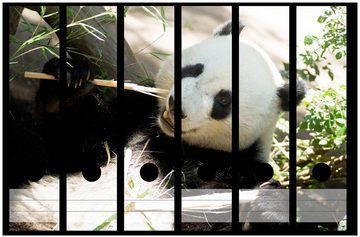 Wallario Etiketten Panda knabbert an Bambusstücken, Ordnerrücken-Sticker in verschiedenen Ausführungen