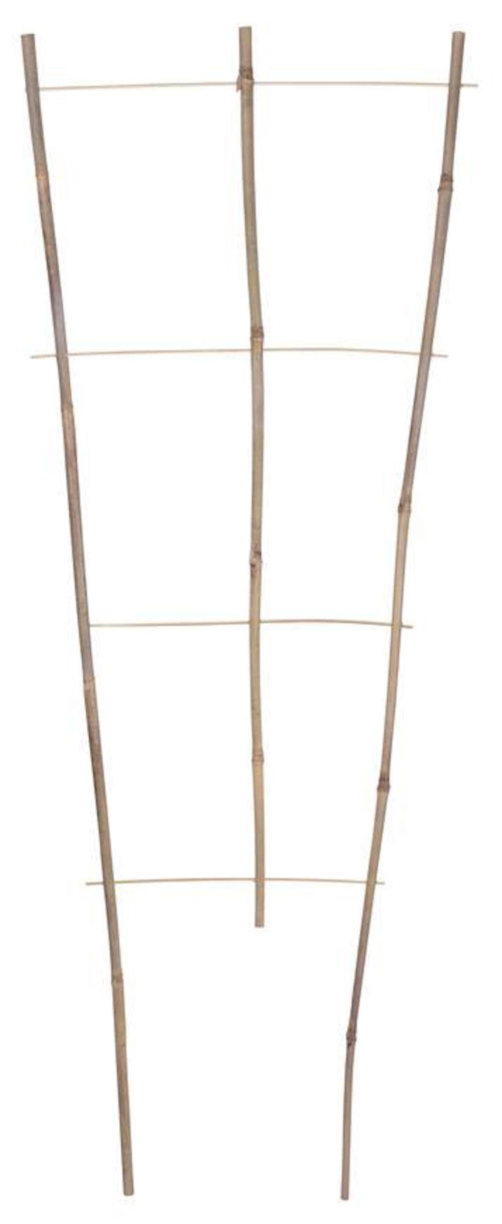 PROREGAL® Rankgitter Pflanzstab BEK20 150x44cm, Stützblumen, günstig online kaufen