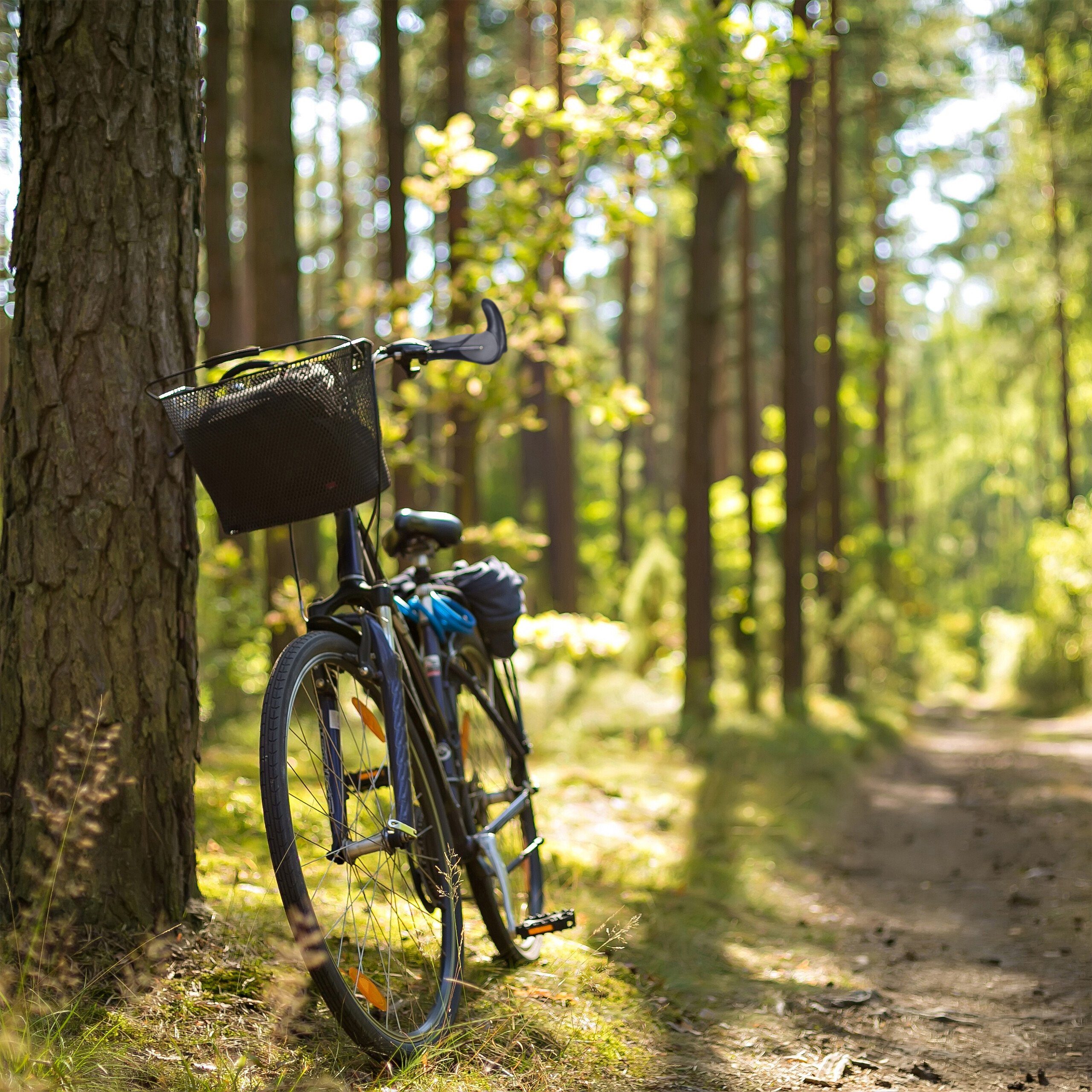 relaxdays Fahrradlenkergriff 1 Paar Fahrradgriffe ergonomisch