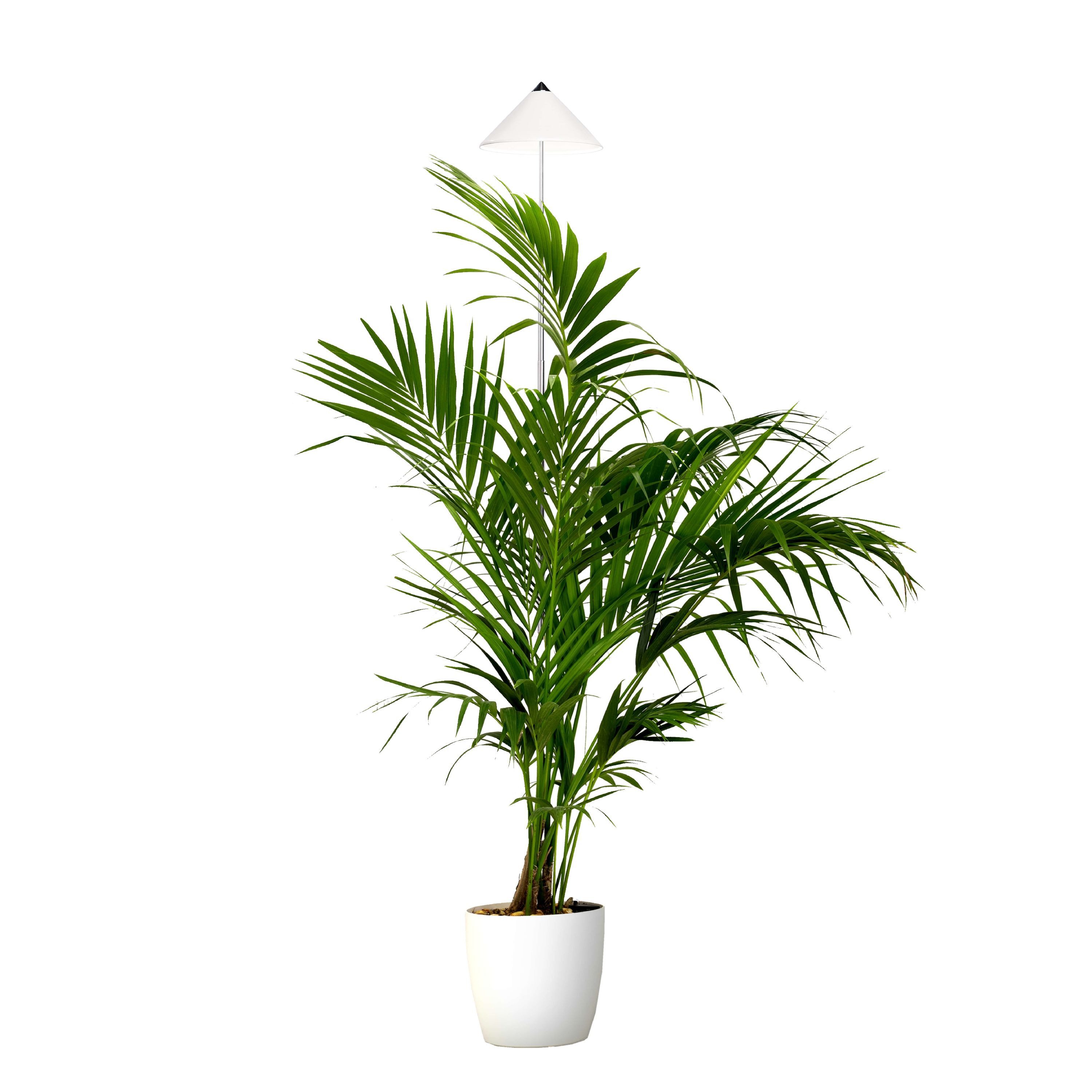 PARUS Pflanzenlampe Indoor plants, Leuchtmittel für Pflanzen, Teleskopstab 1,7m, Parus by Venso SUNLiTE XL LED Vollspektrum Pflanzenlampe Weiß 25W Indo