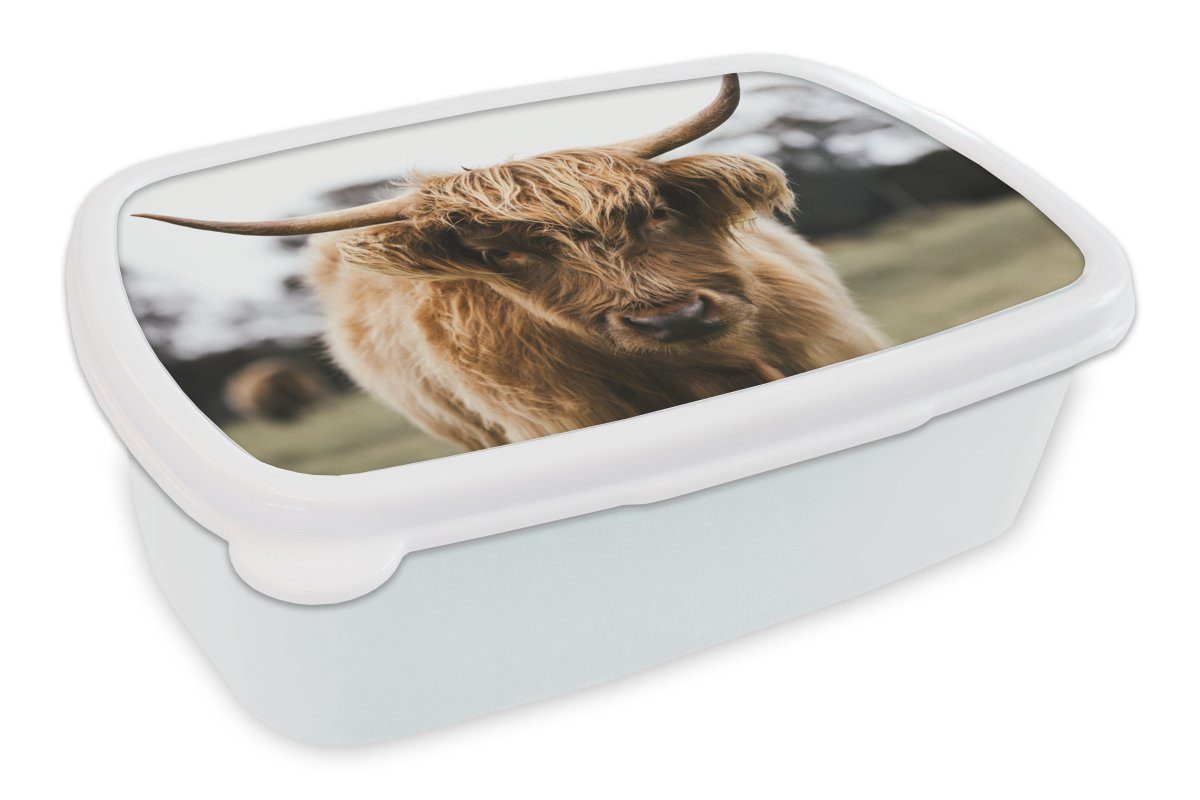 Kuh (2-tlg), Mädchen Natur, für Kinder - Jungs - Erwachsene, Kunststoff, und Lunchbox Brotbox für Brotdose, - weiß MuchoWow Tiere - Schottischer und Gras Highlander