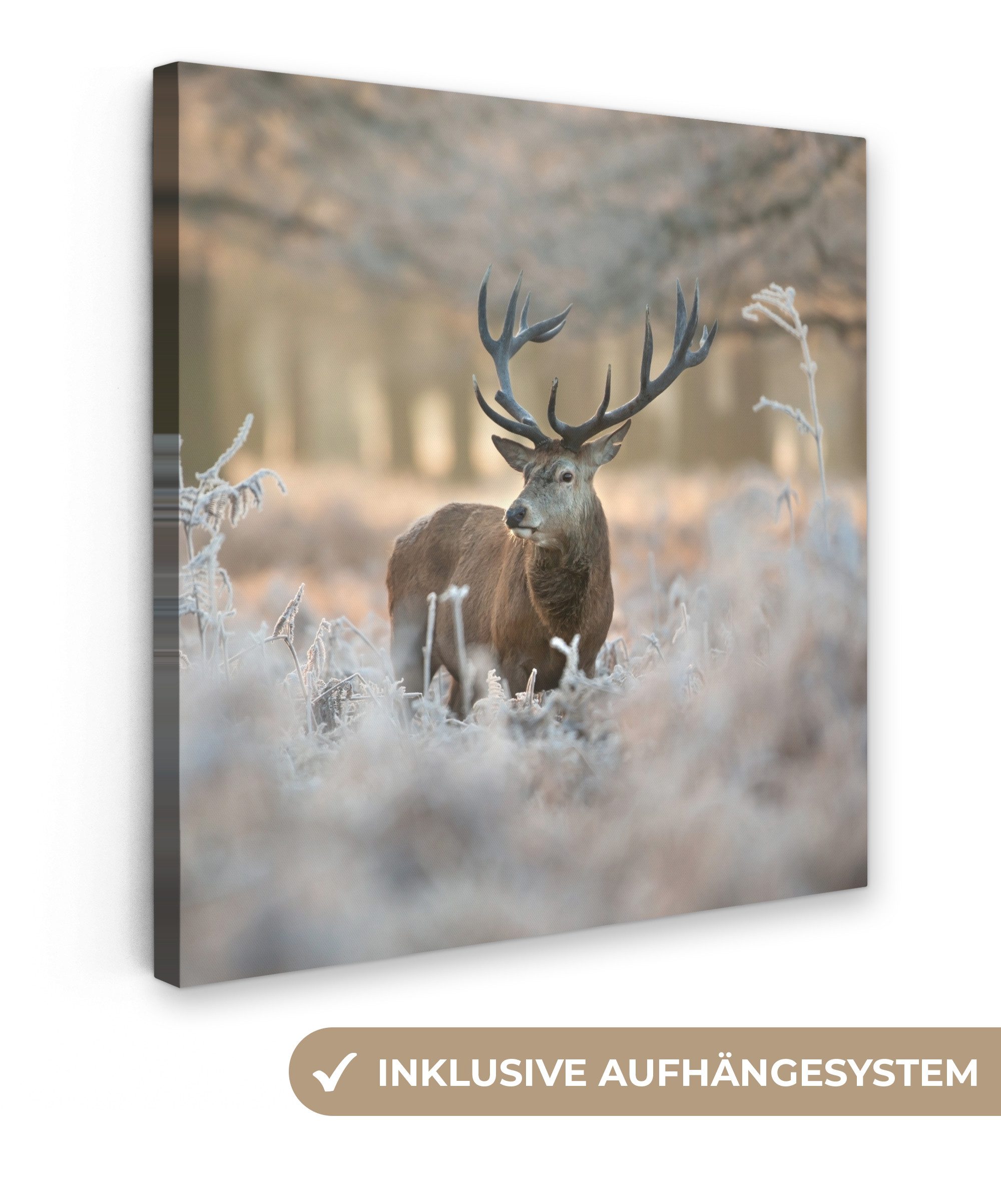 OneMillionCanvasses® Leinwandbild Hirsche - Tiere - Winter, Fotodruck (1 St günstig online kaufen