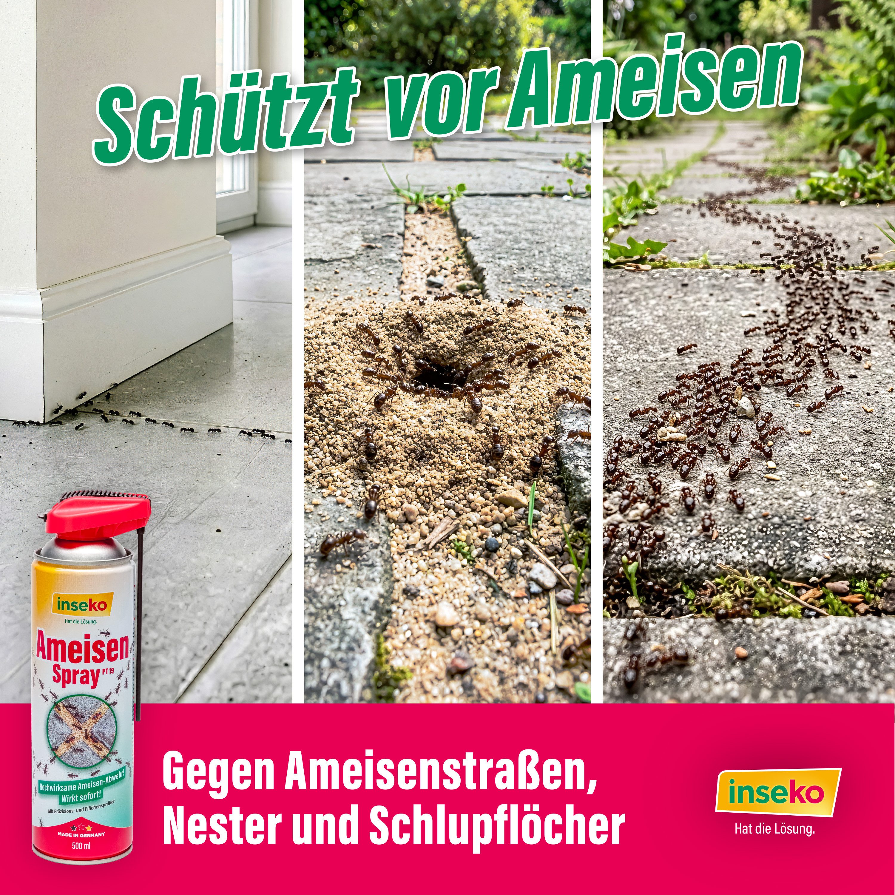 Inseko Insektenspray 3x inseko Ameisenspray 500 ml - effektive Sofortwirkung (PT19), 3-St., gegen Ameisen und Ameisennester