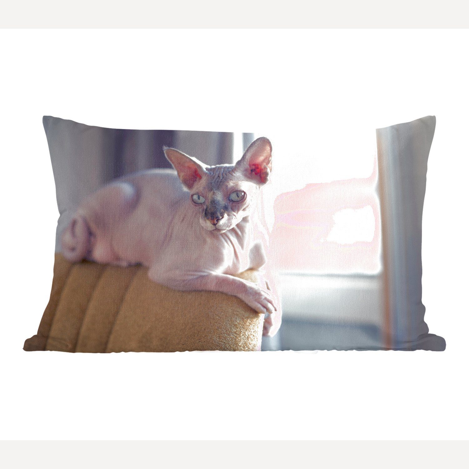 MuchoWow Dekokissen Sphynx-Katze auf einem Stuhl liegend, Wohzimmer Dekoration, Zierkissen, Dekokissen mit Füllung, Schlafzimmer