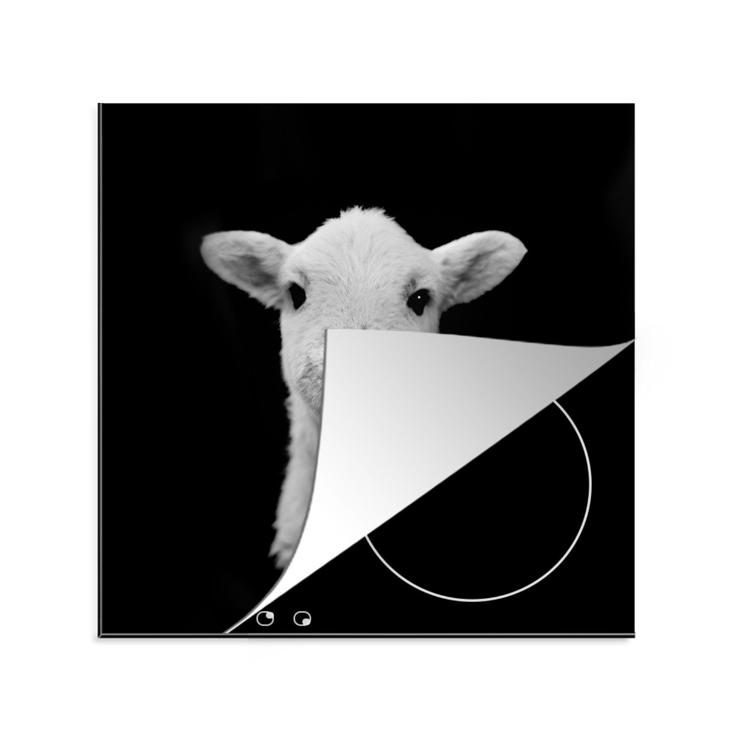 MuchoWow Herdblende-/Abdeckplatte Schaf - Tier - Porträt, Vinyl, (1 tlg), 78x78 cm, Ceranfeldabdeckung, Arbeitsplatte für küche