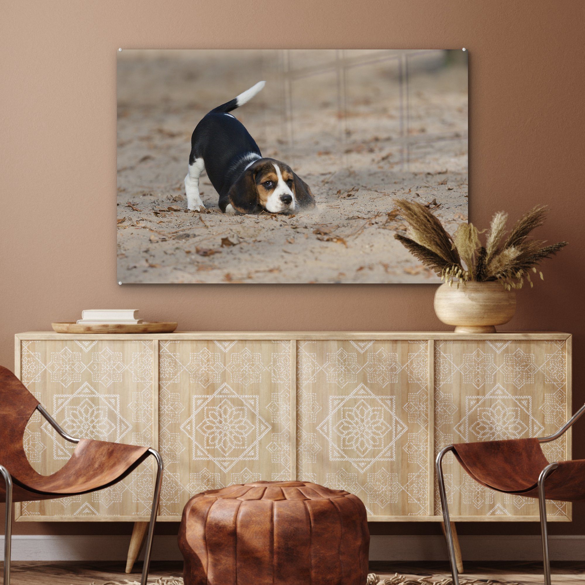 St), spielt Schlafzimmer im Wohnzimmer junger Acrylglasbild MuchoWow (1 Sand, & Acrylglasbilder Beagle-Welpe Ein