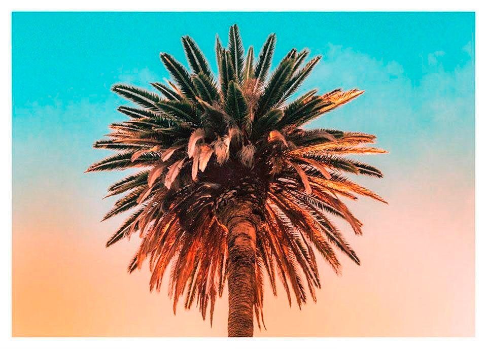 Komar Bild Palm Tree, Blätter, Pflanzen (1 St), Wandbild zur Dekoration - ohne Rahmen