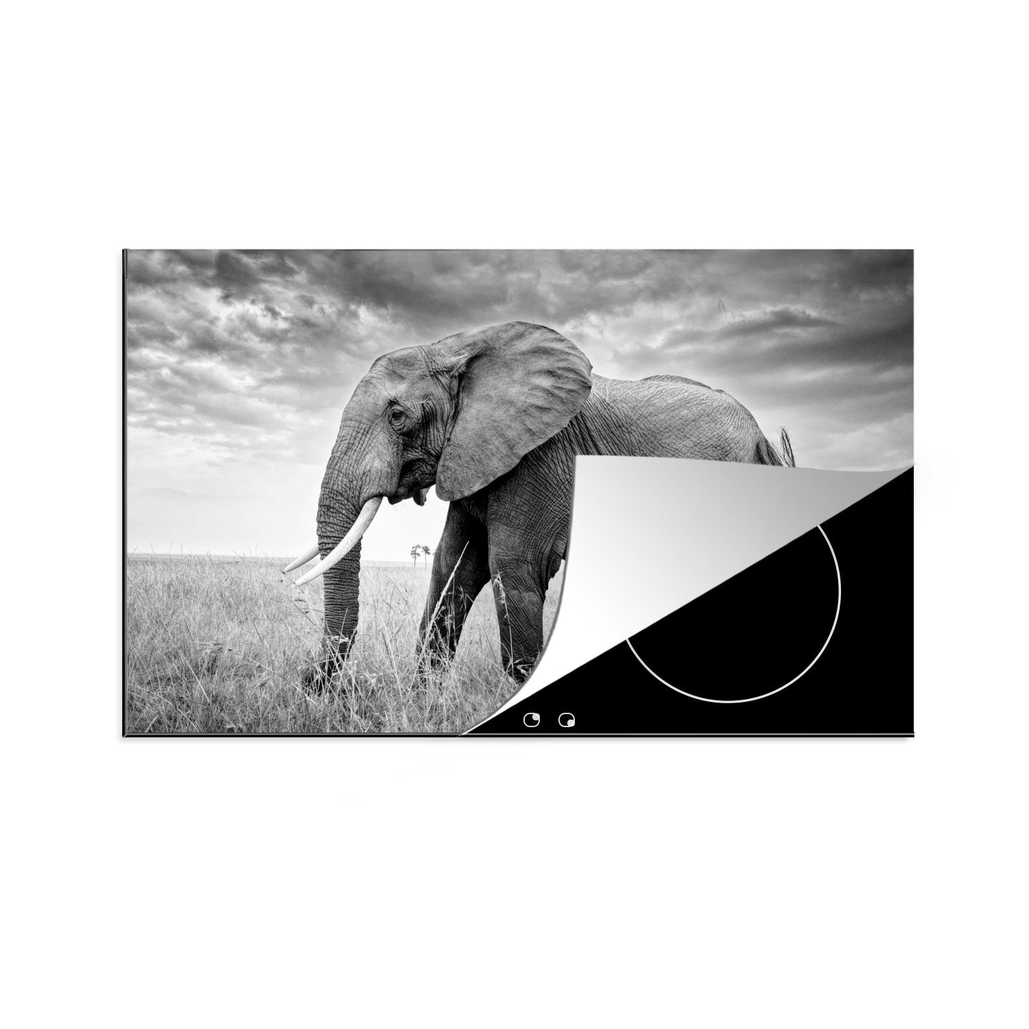 MuchoWow Herdblende-/Abdeckplatte Elefant - Gras - Tiere - Schwarz und weiß, Vinyl, (1 tlg), 81x52 cm, Induktionskochfeld Schutz für die küche, Ceranfeldabdeckung
