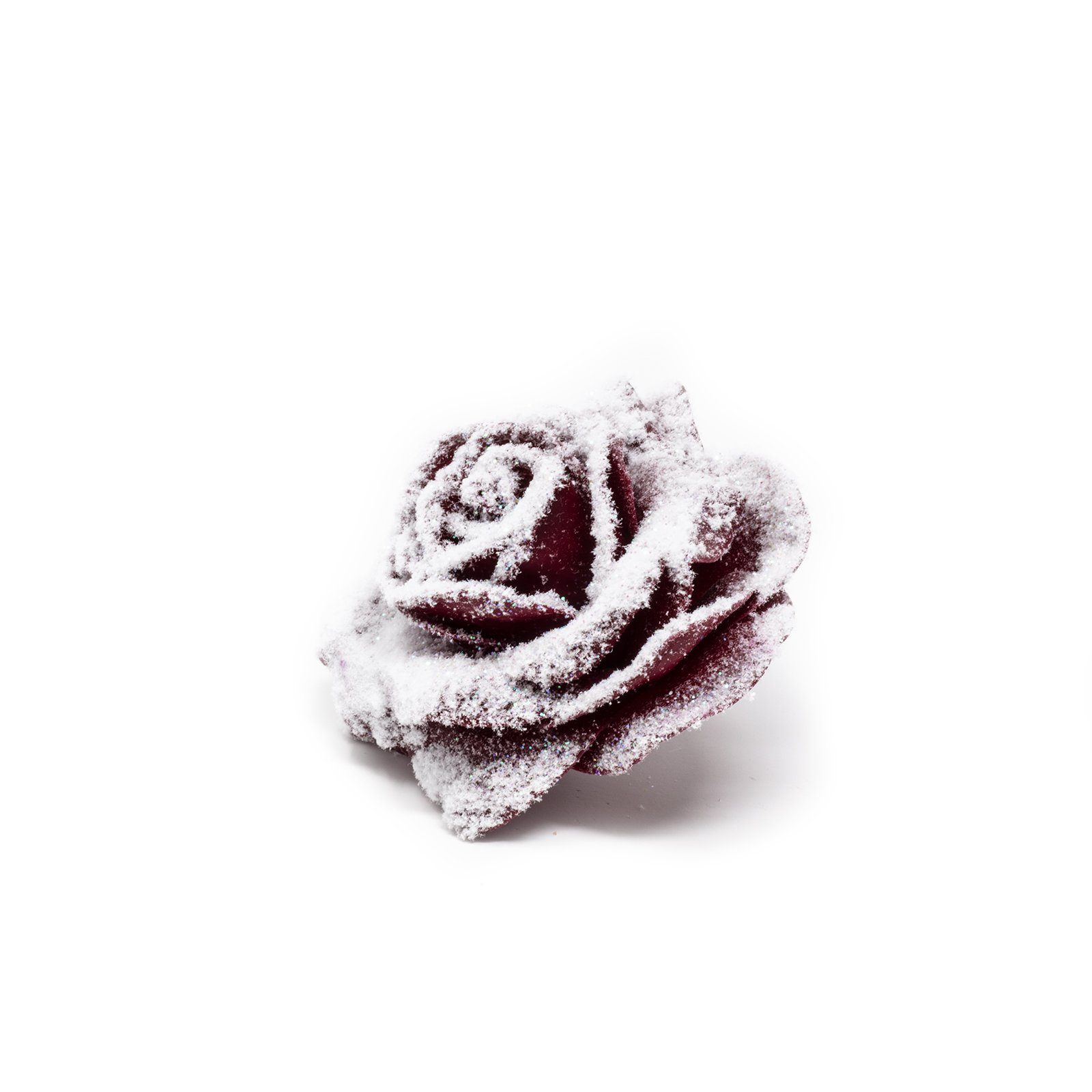 Trockenblume 10er-Set Wachsrose - Snow Diamond, Primera, Höhe 20 cm