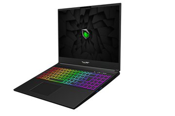 Tulpar T6 V1.1 Gaming-Notebook (Intel Core i7 13700H, RTX 4070, 1000 GB SSD, 4 Zonen RGB Tastaturbeleuchtung)