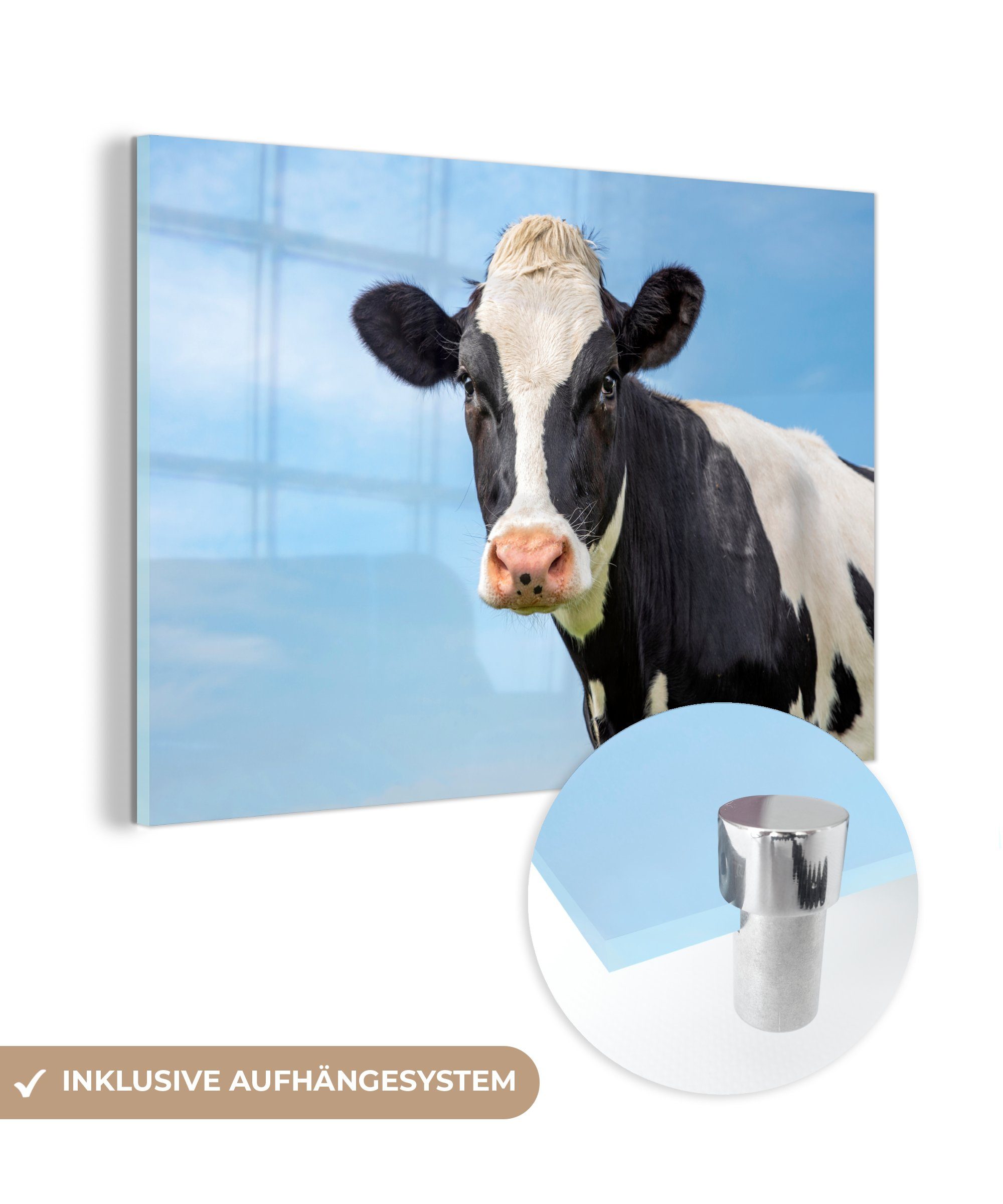 MuchoWow Acrylglasbild Kuh - Tiere - Porträt - Himmel, (1 St), Acrylglasbilder Wohnzimmer & Schlafzimmer