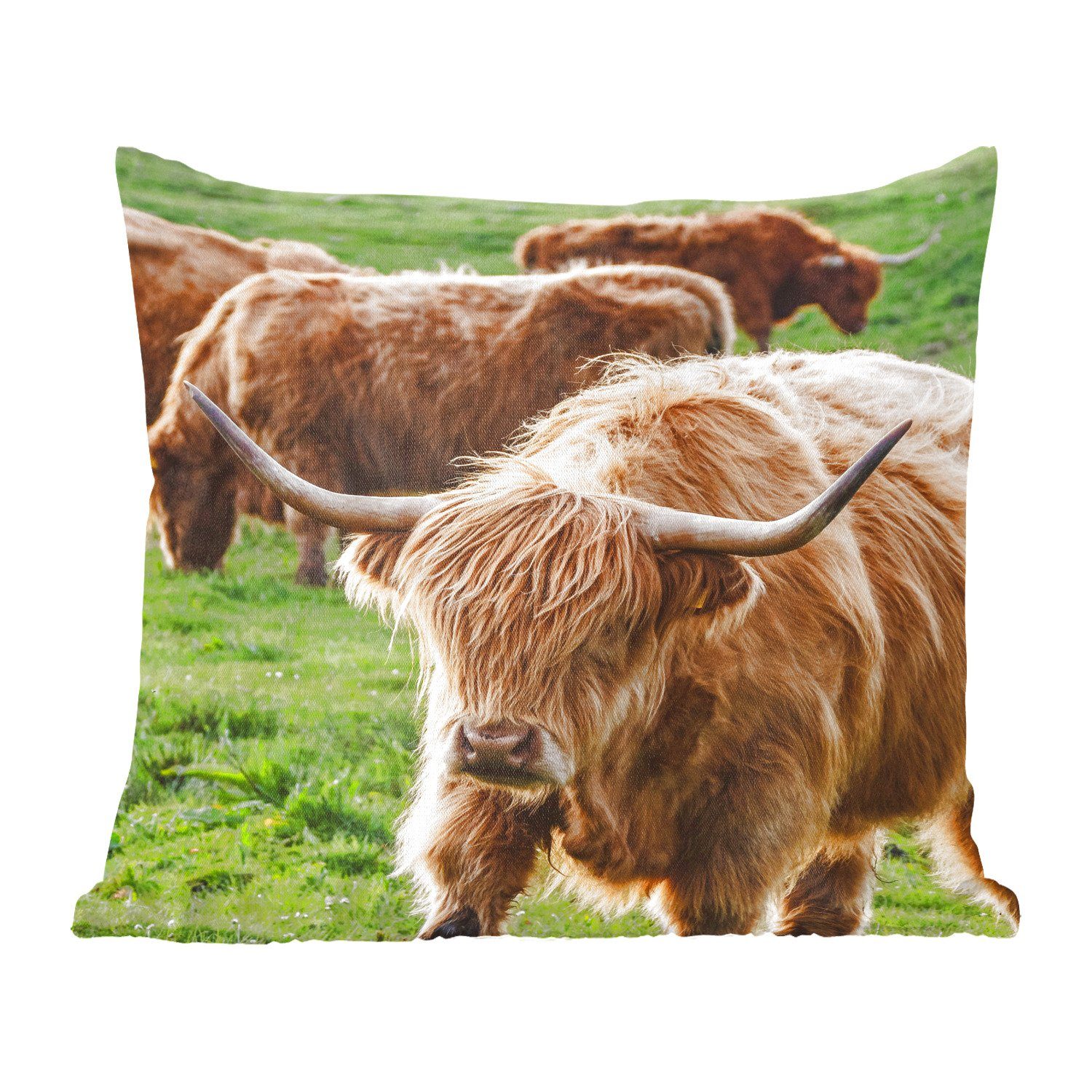 MuchoWow Dekokissen Schottischer Highlander - Kühe - Tiere, Zierkissen mit Füllung für Wohzimmer, Schlafzimmer, Deko, Sofakissen