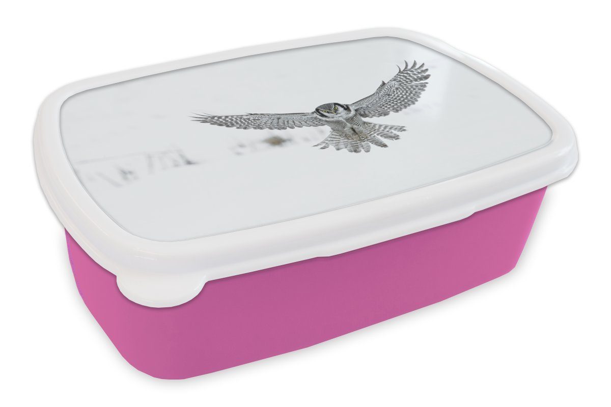 Sperbereule, rosa Snackbox, MuchoWow Lunchbox Mädchen, Kinder, Kunststoff, Erwachsene, Kunststoff Brotdose (2-tlg), Brotbox für