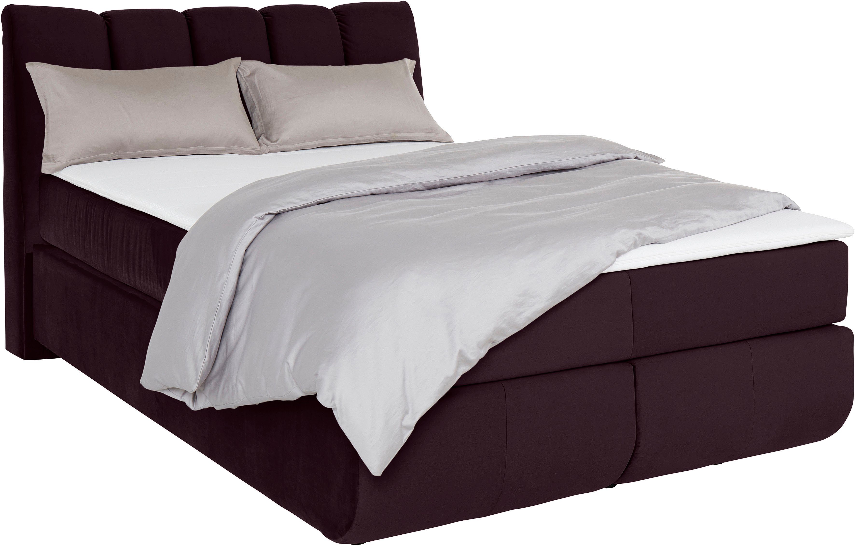 Home affaire Boxspringbett Océane, Bodenfrei- wirkt freischwebend, verschiedene Härtegrade (auch H4)